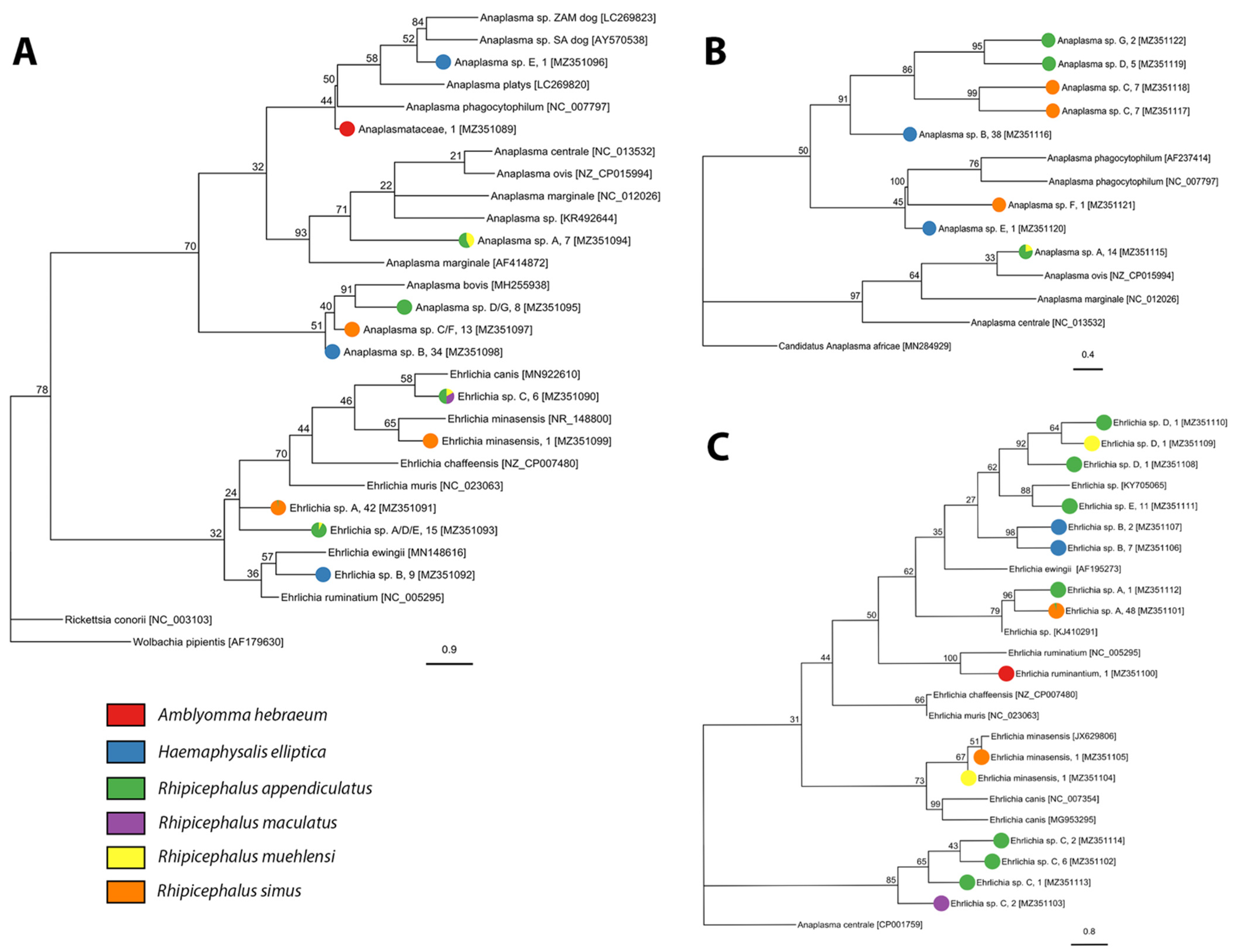 Pathogens 10 01043 g004
