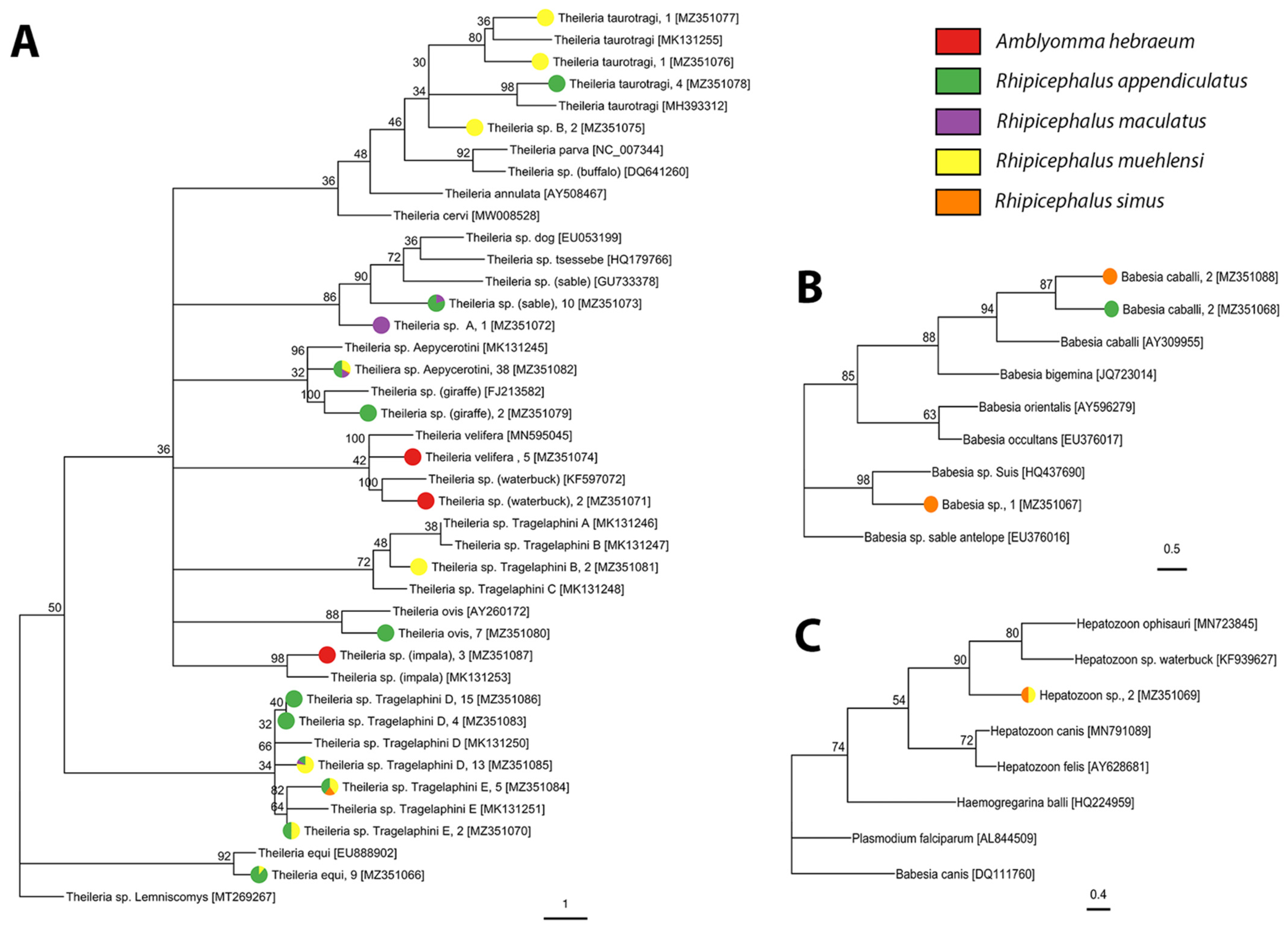 Pathogens 10 01043 g005
