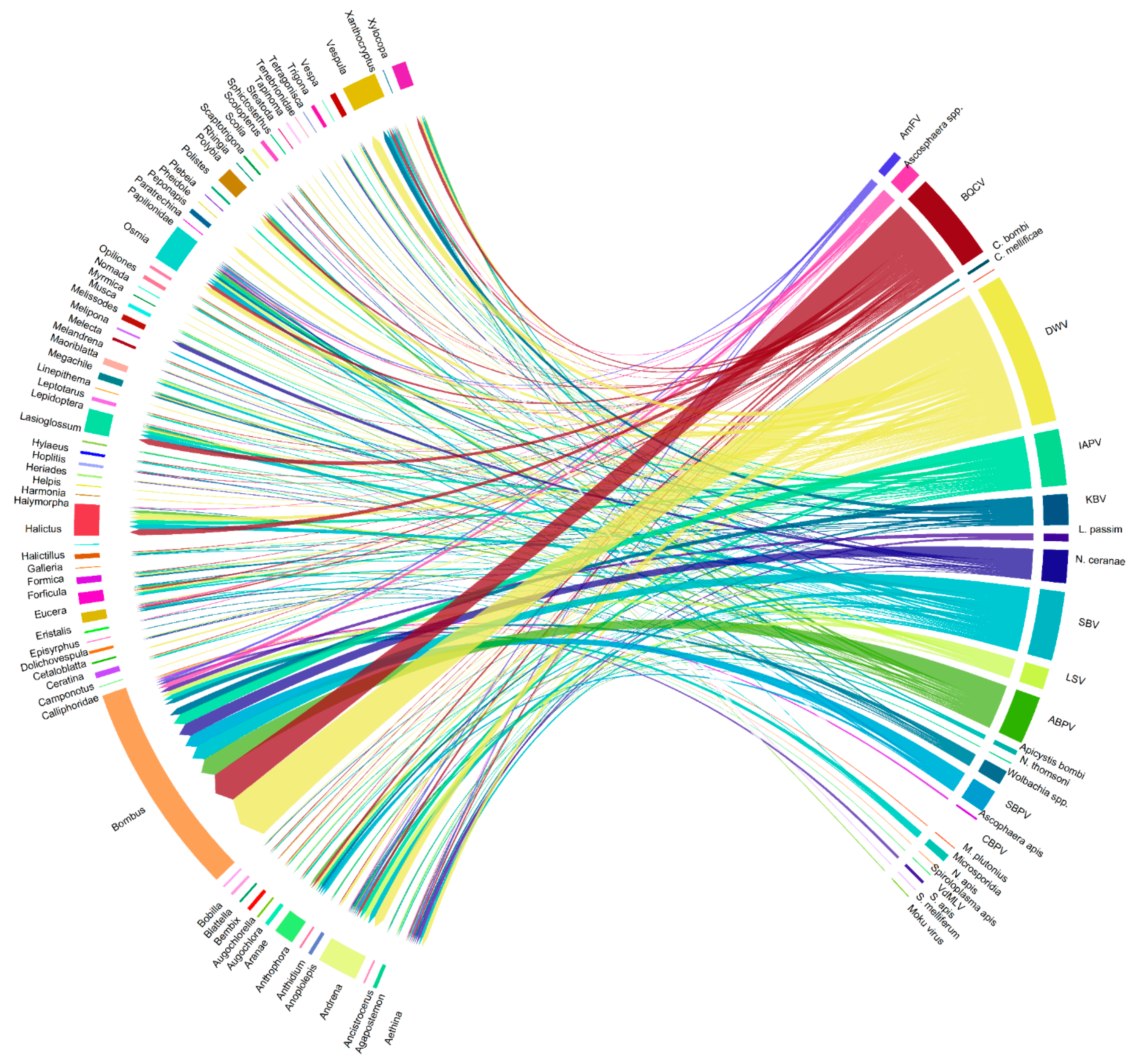 Pathogens 10 01044 g003