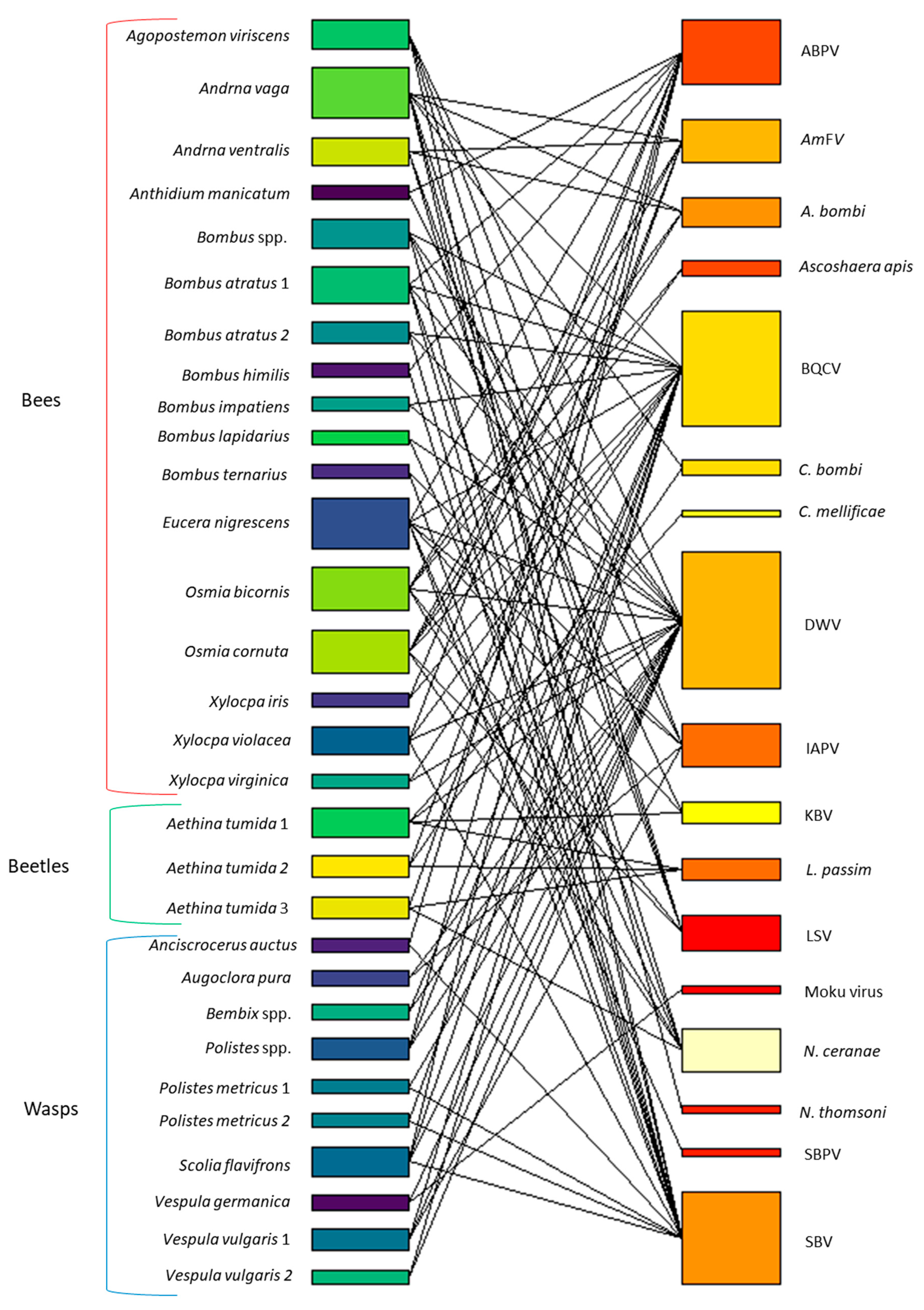 Pathogens 10 01044 g005