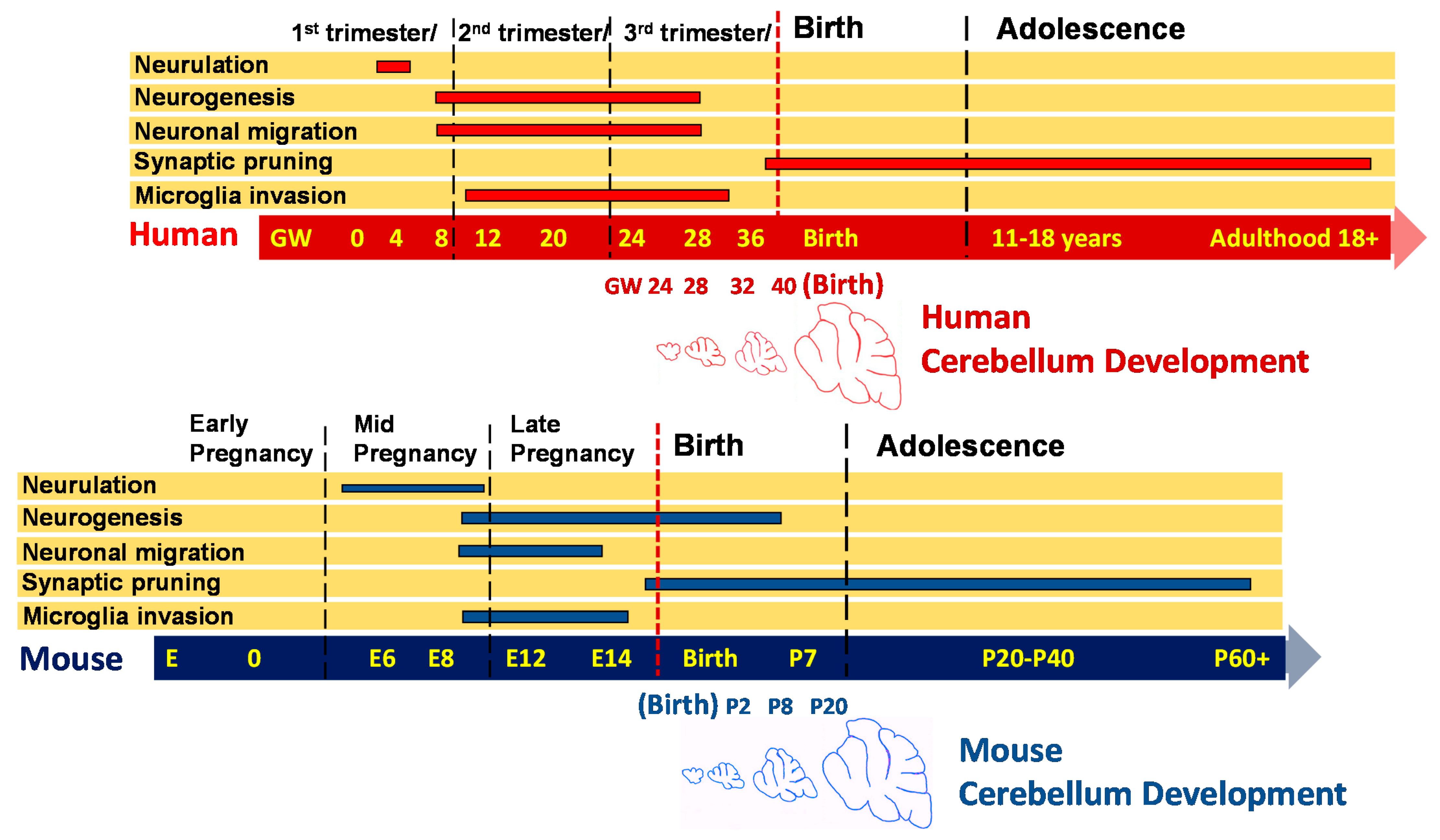 Pathogens 10 01062 g002 Pathogens 10 01062 g002