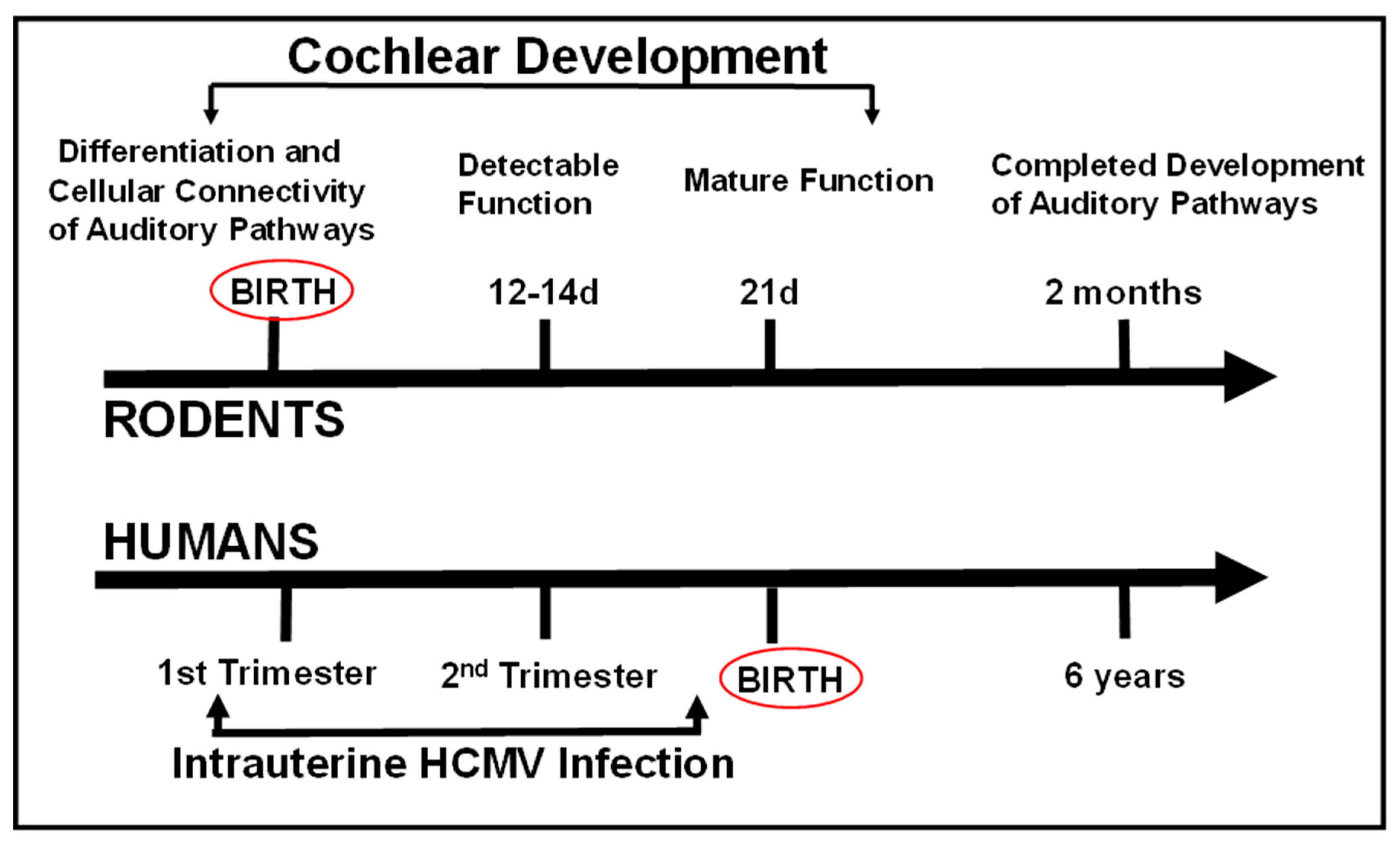 Pathogens 10 01062 g004 Pathogens 10 01062 g004