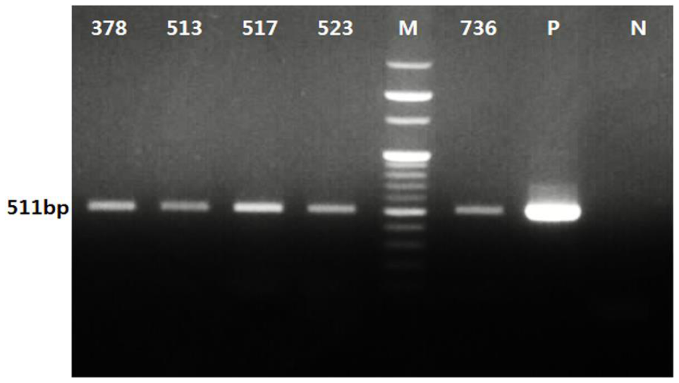 Pathogens 10 01069 g002