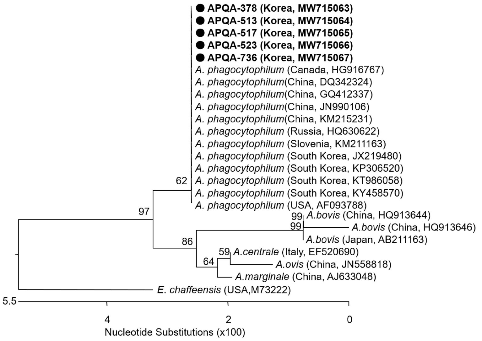 Pathogens 10 01069 g004
