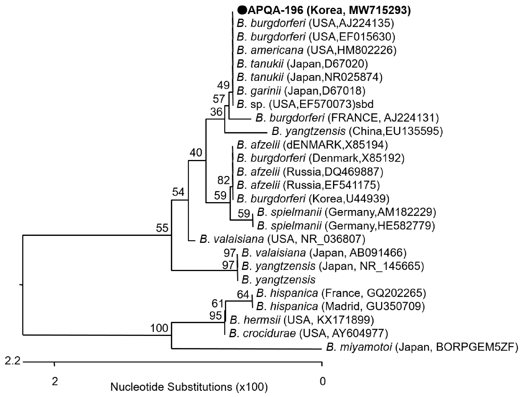 Pathogens 10 01069 g005