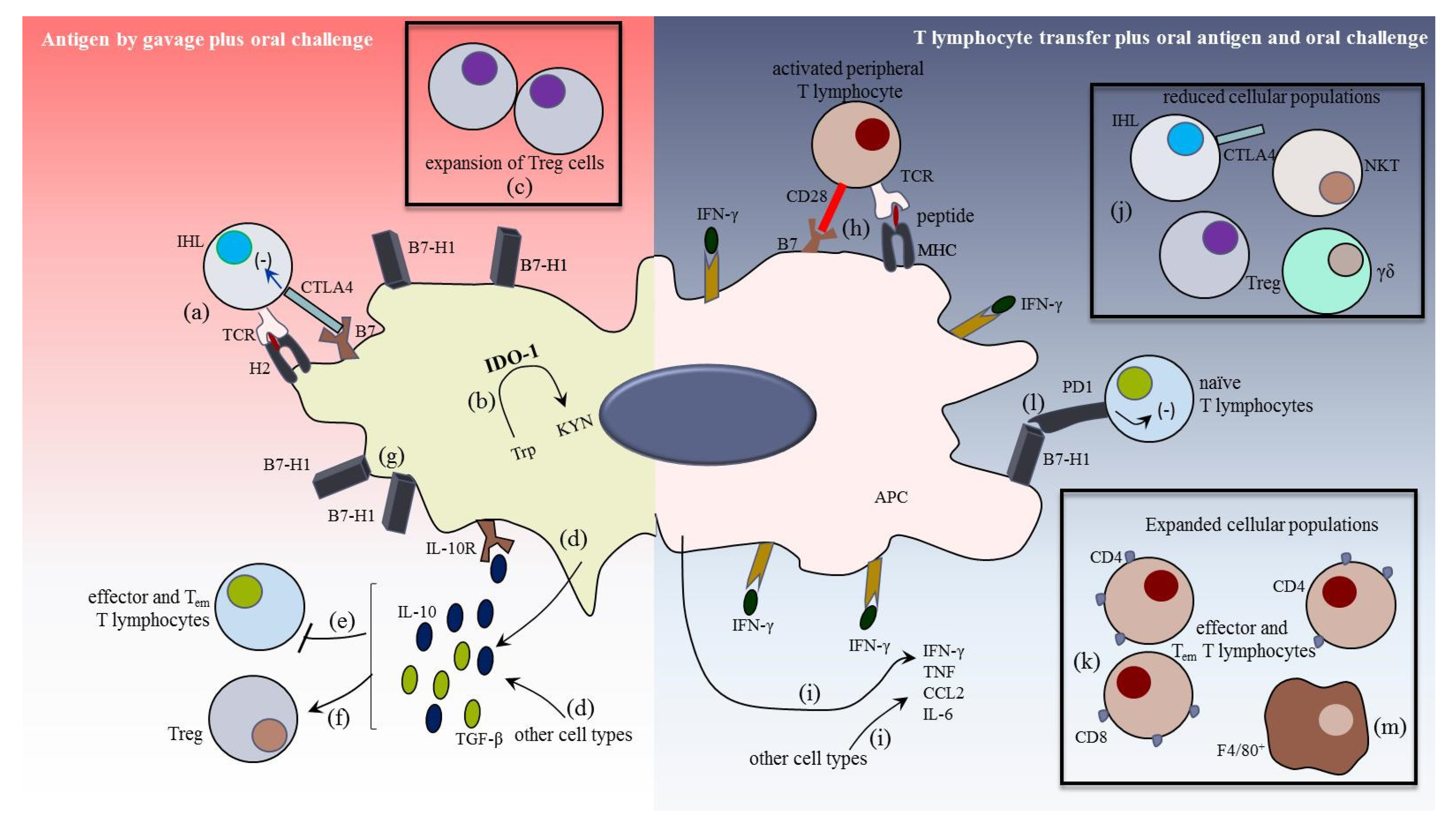 Pathogens 10 01074 g003 Pathogens 10 01074 g003