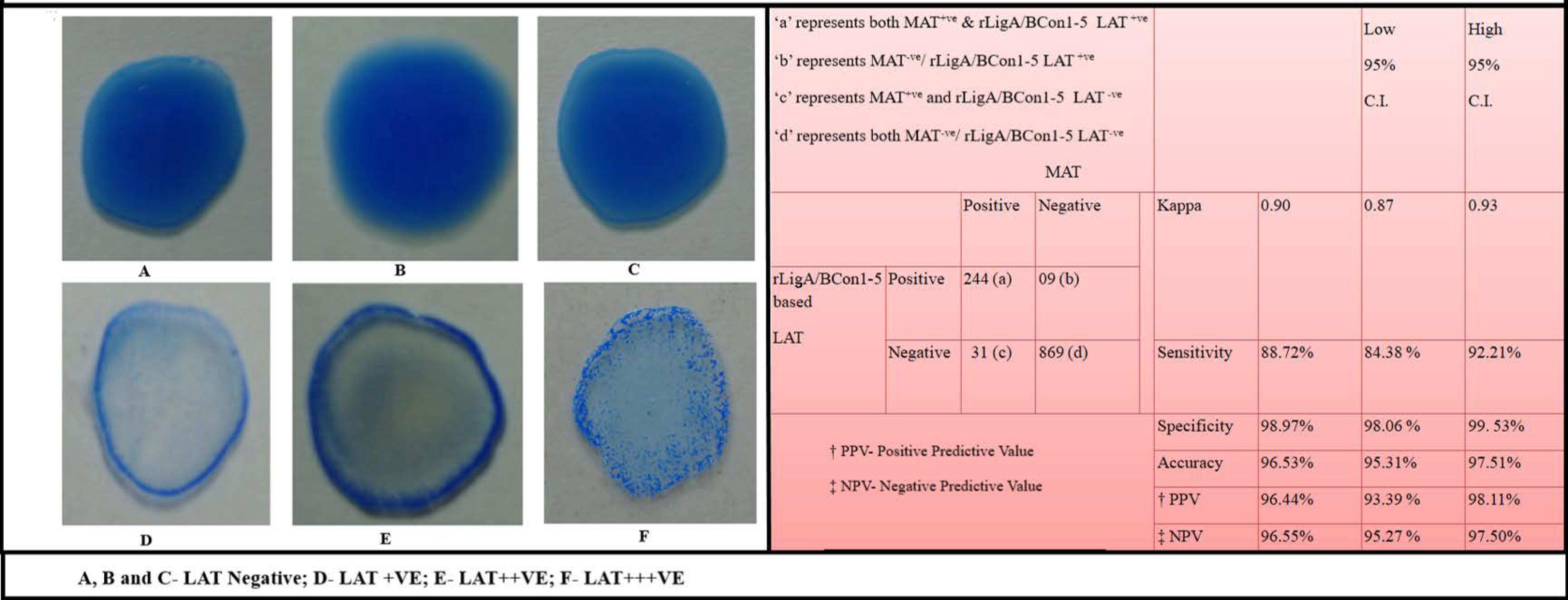 Pathogens 10 01082 g008