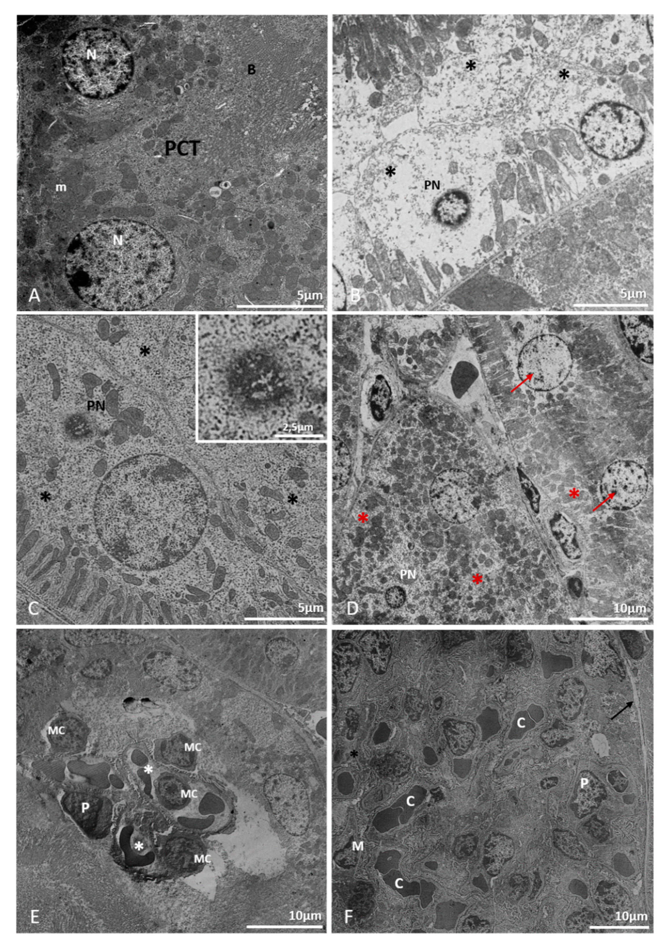 Pathogens 10 01084 g007 Pathogens 10 01084 g007