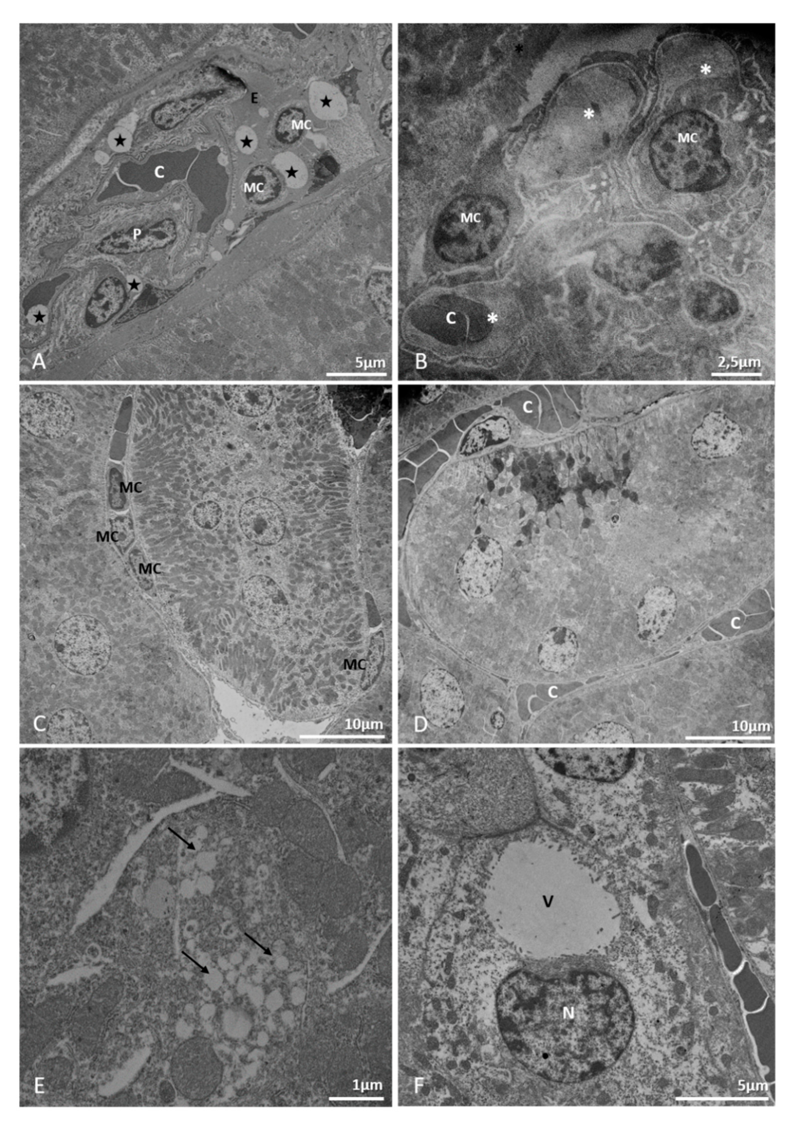 Pathogens 10 01084 g008 Pathogens 10 01084 g008