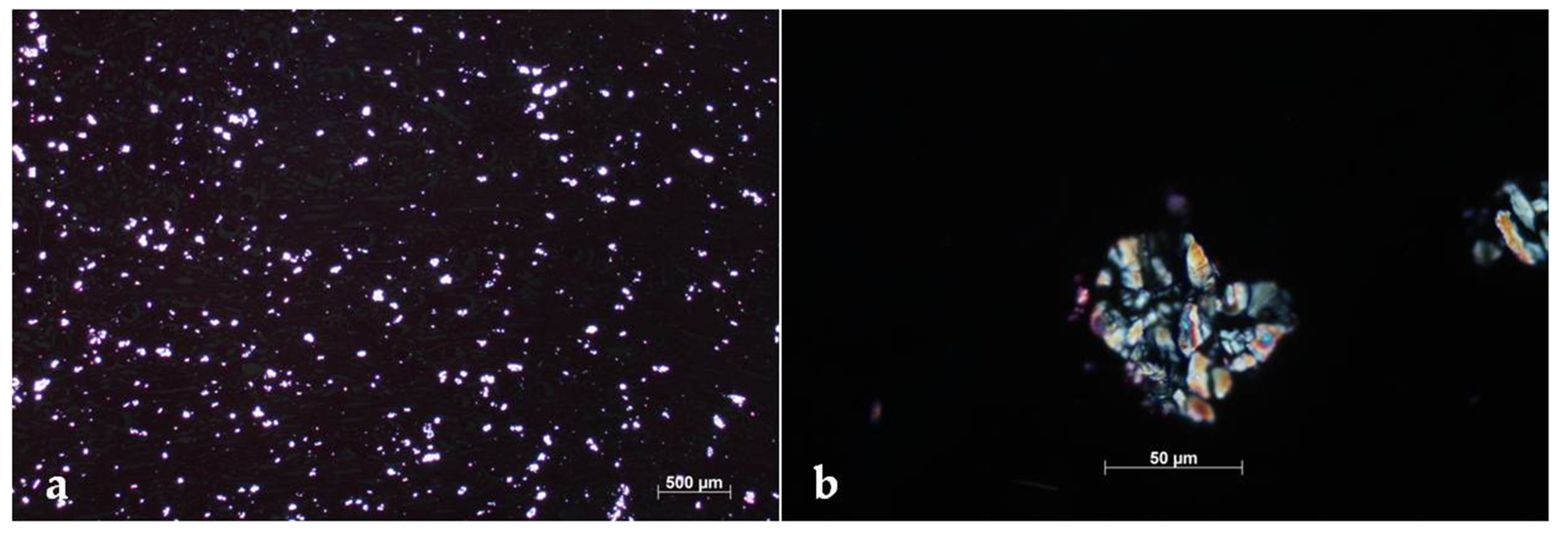 Pathogens 10 01087 g003