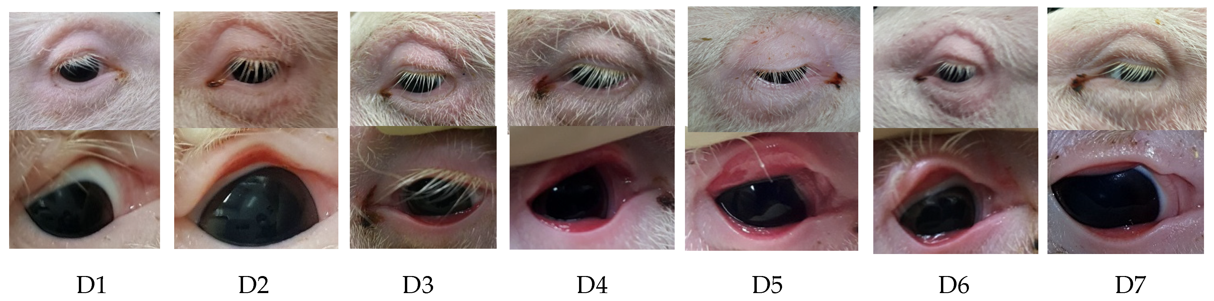 Pathogens 10 01103 g002