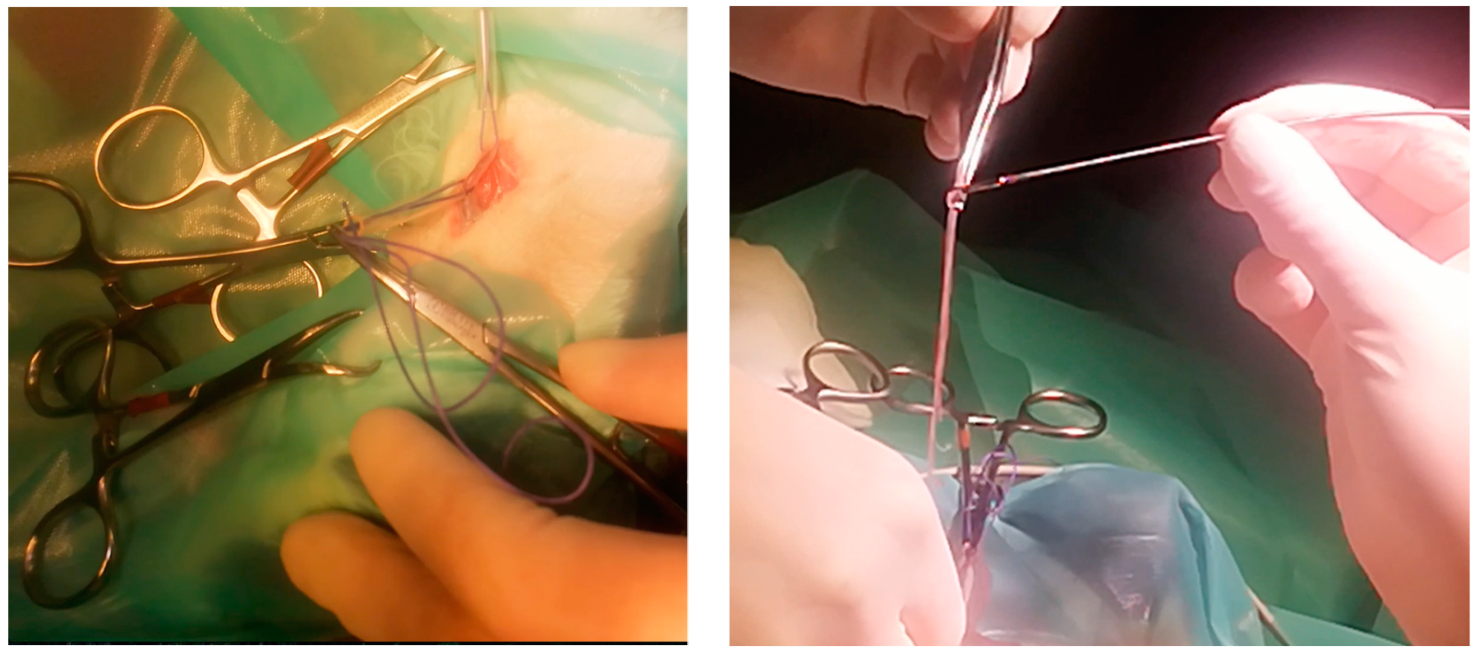 Pathogens 10 01104 g003