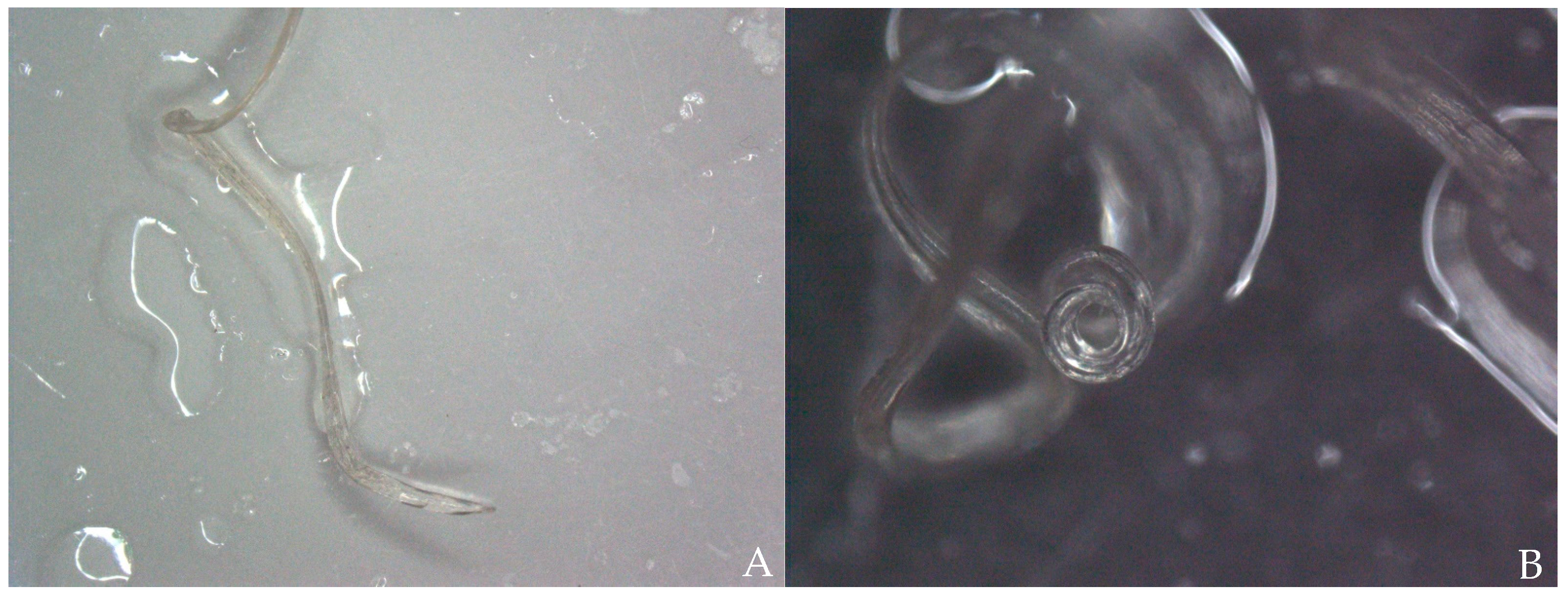 Pathogens 10 01104 g006
