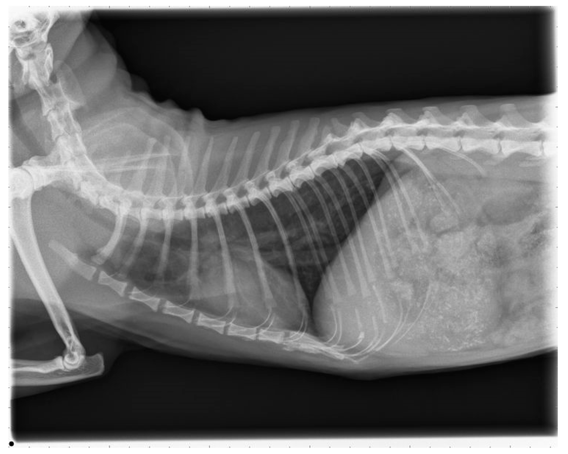 Pathogens 10 01104 g007