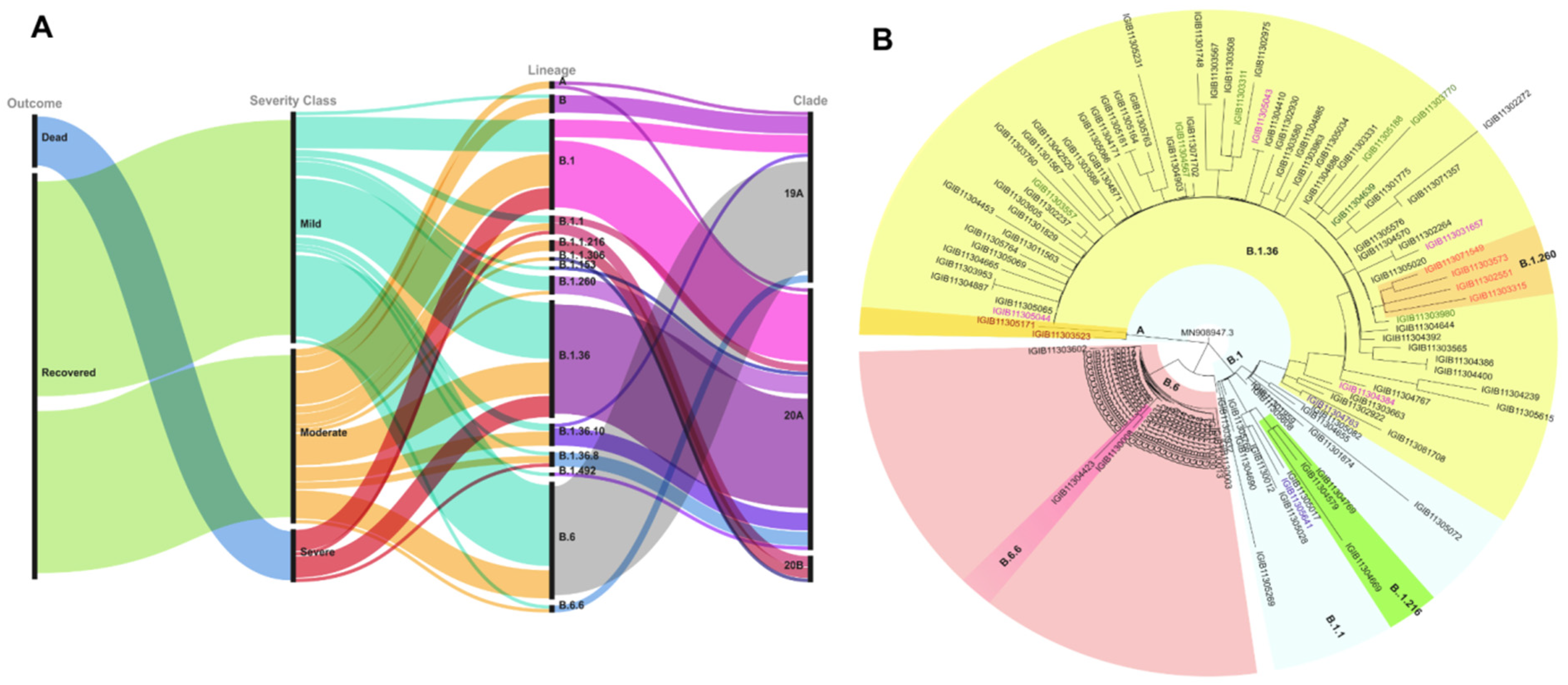 Pathogens 10 01109 g002