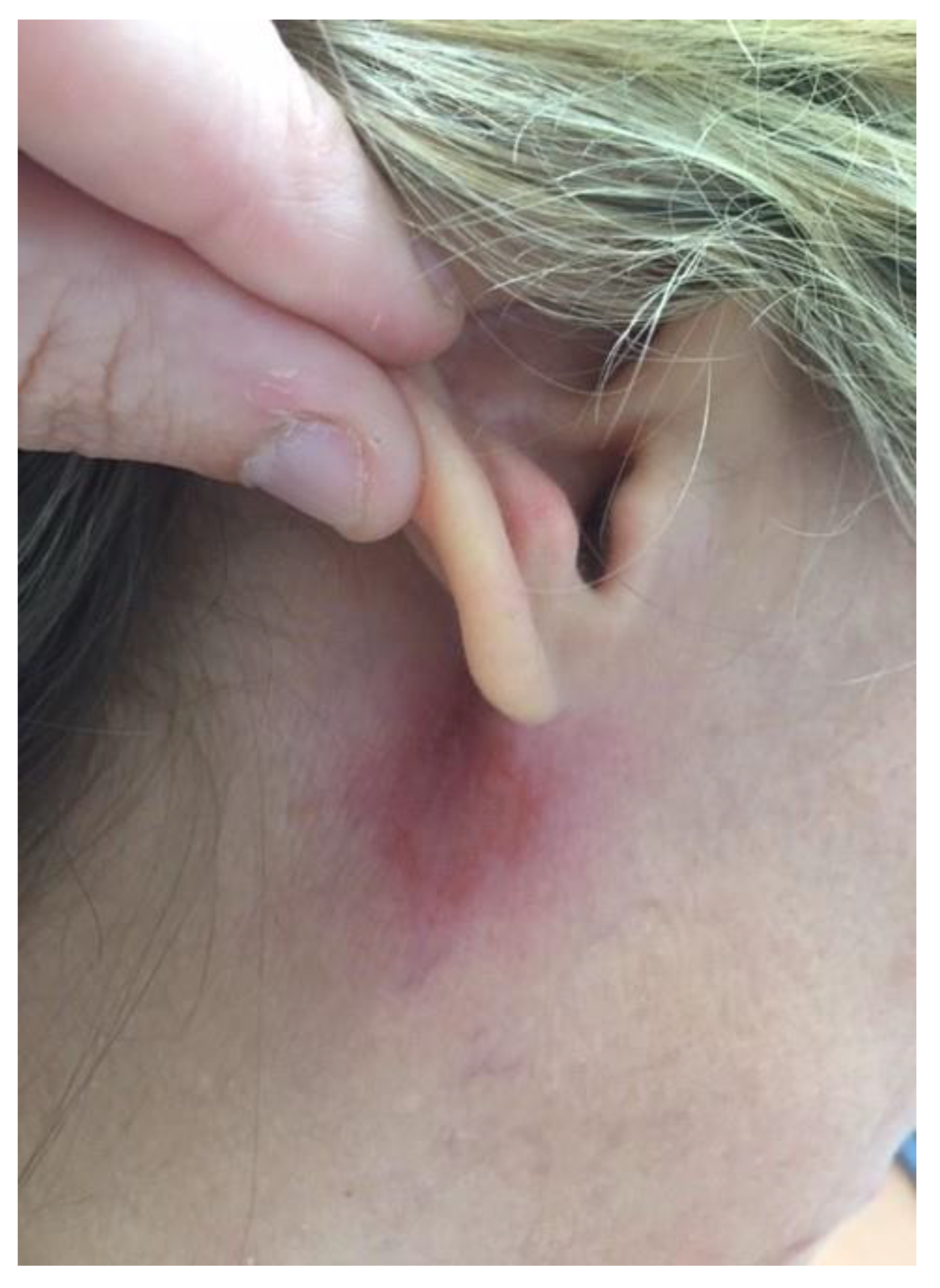 Pathogens 10 01112 g002