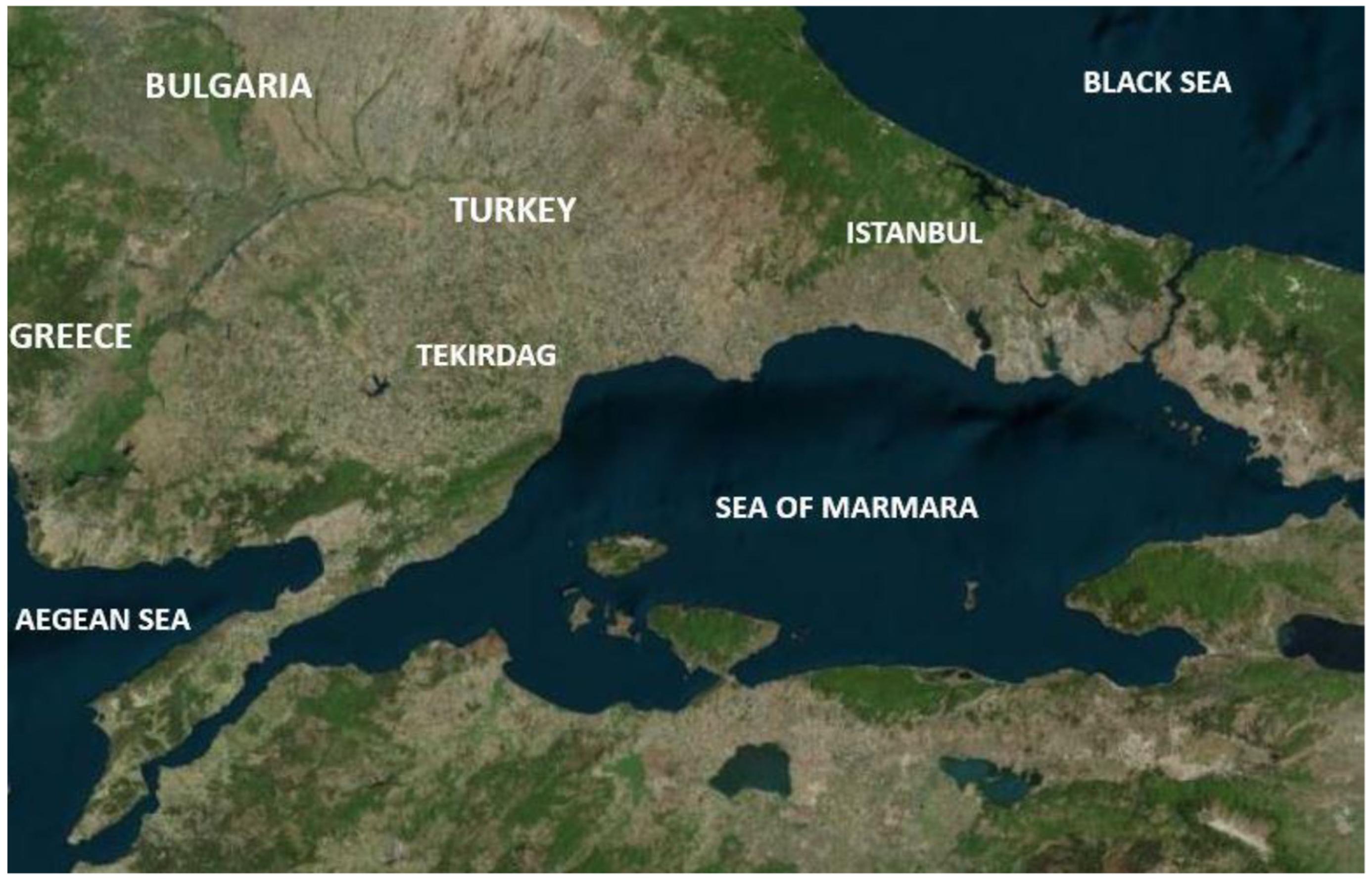 Pathogens 10 01114 g001