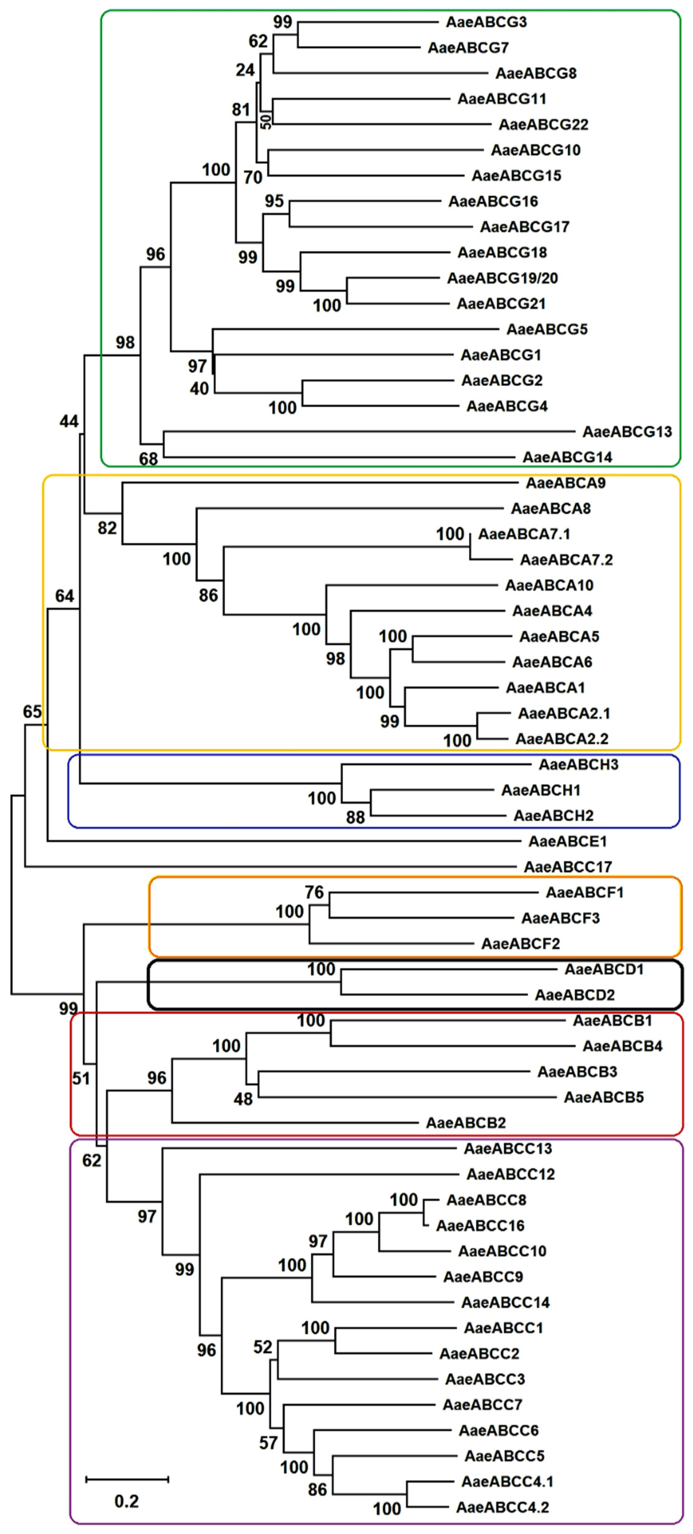 Pathogens 10 01127 g002