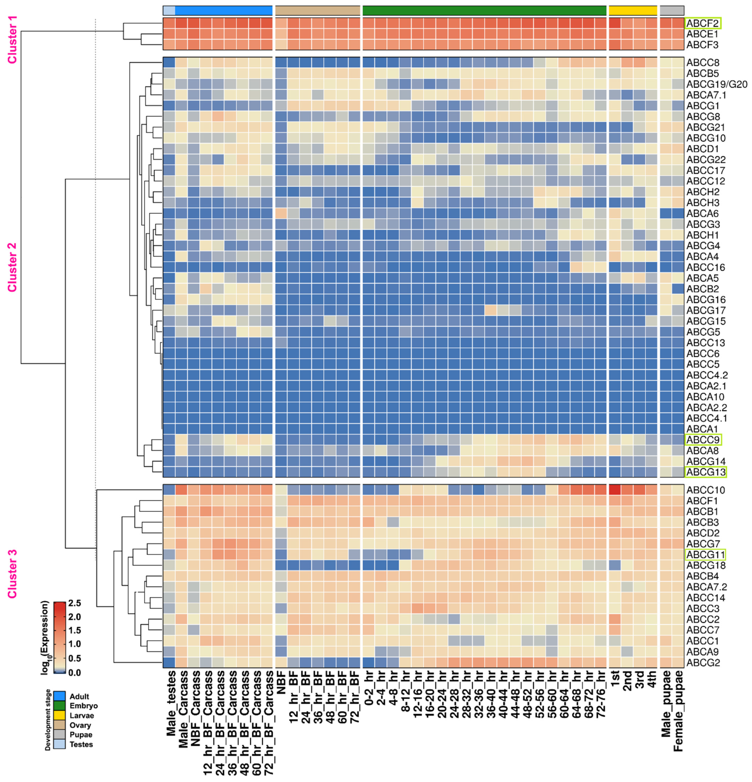 Pathogens 10 01127 g003