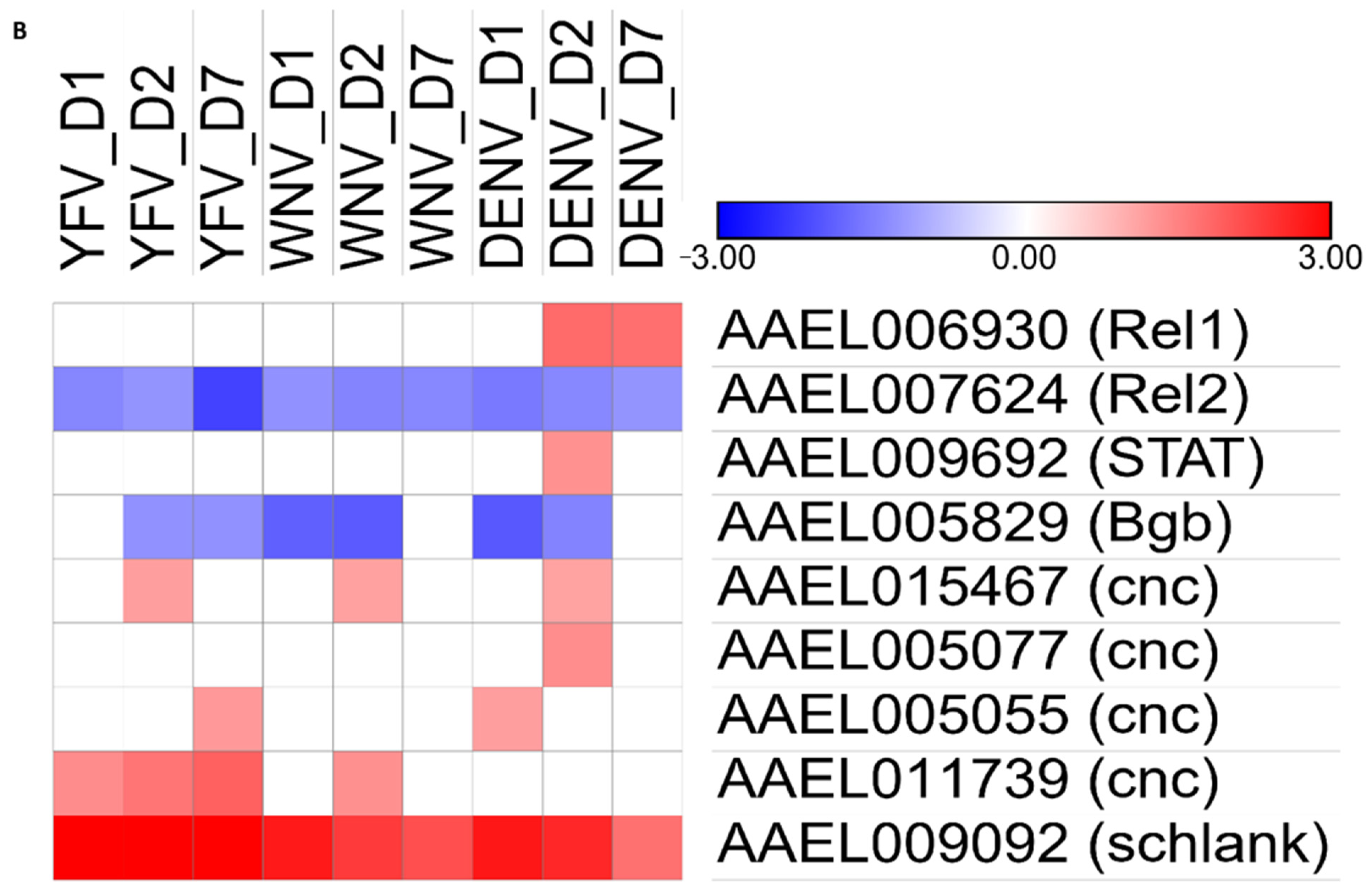 Pathogens 10 01127 g007b