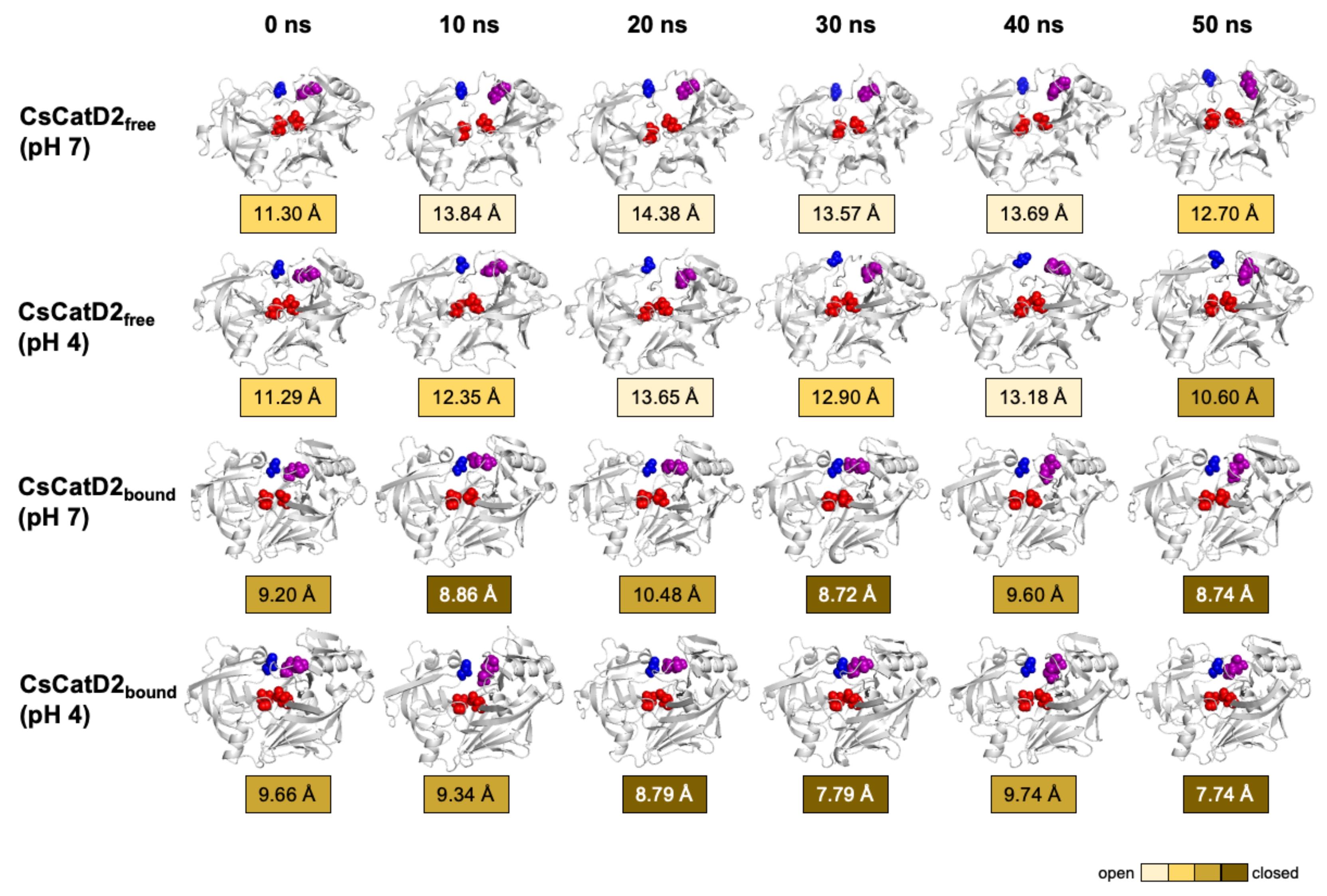 Pathogens 10 01128 g009