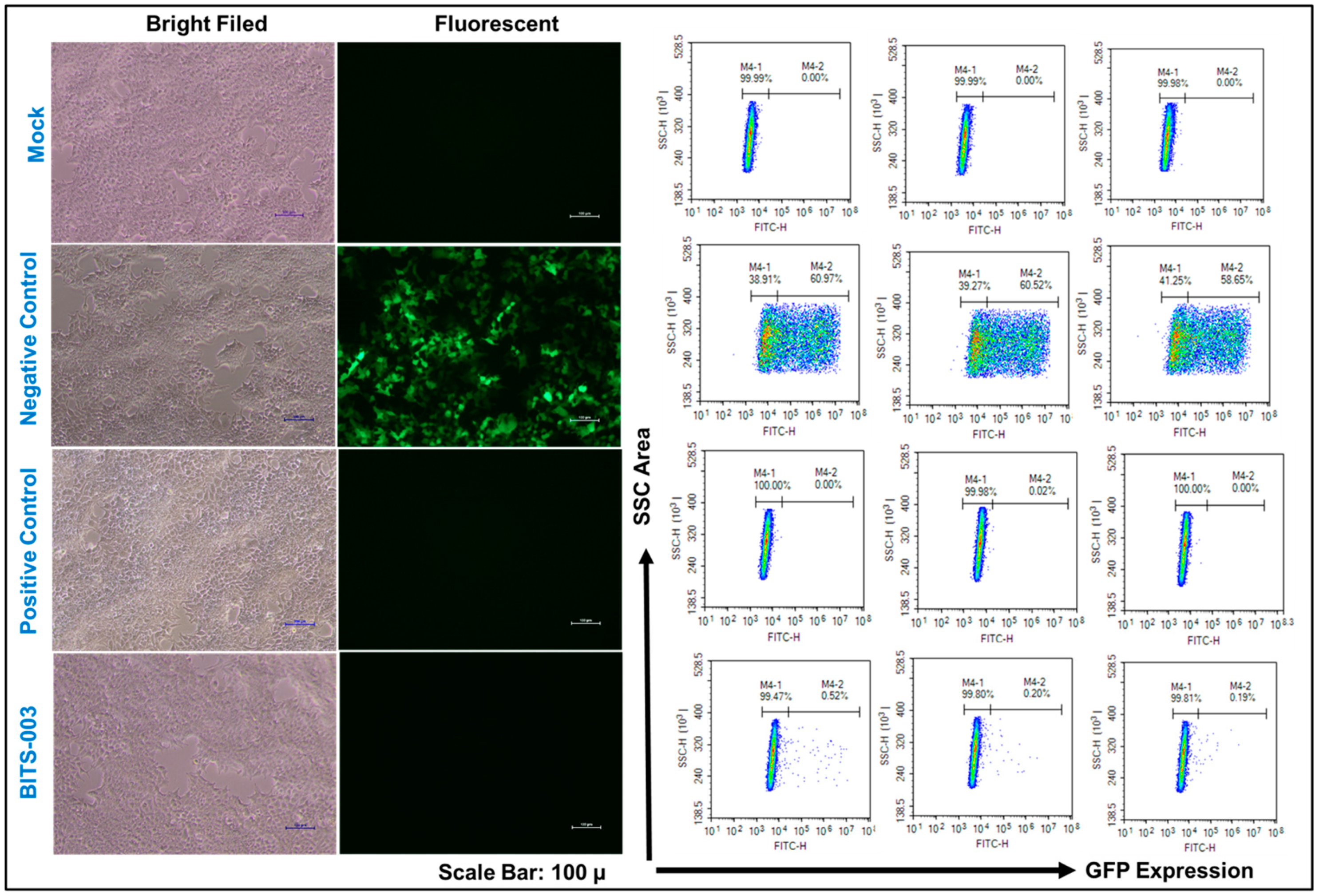 Pathogens 10 01130 g005