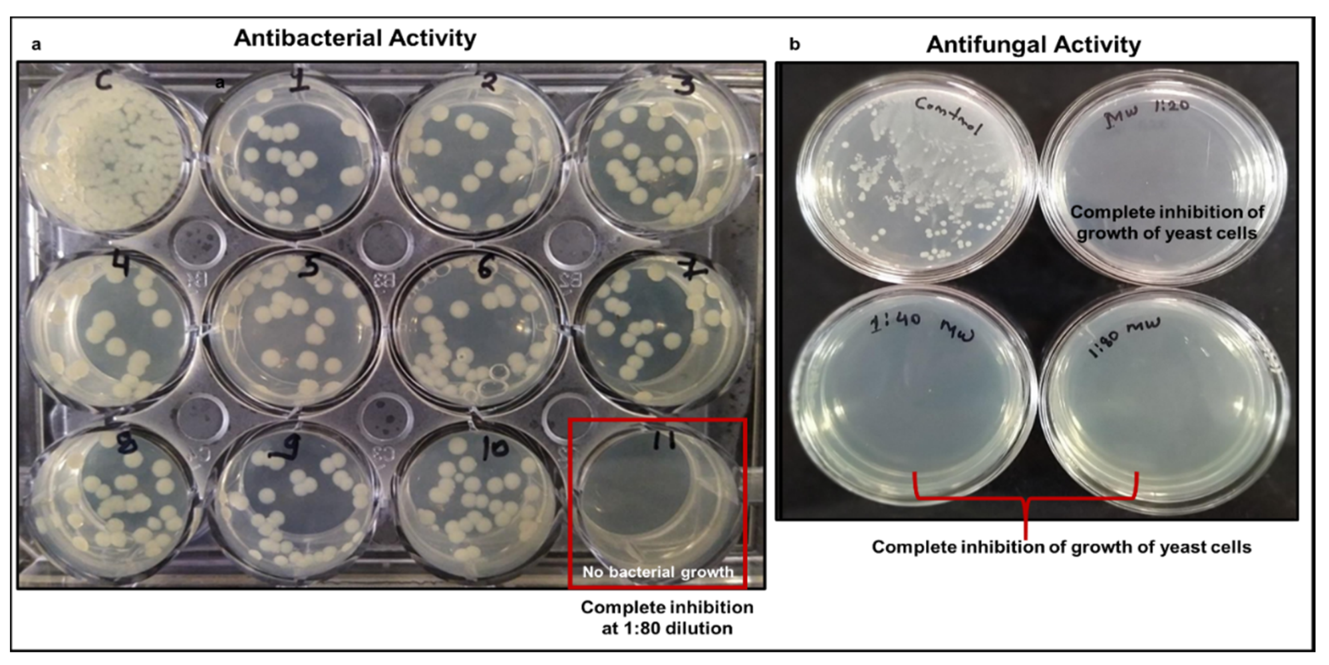 Pathogens 10 01130 g006