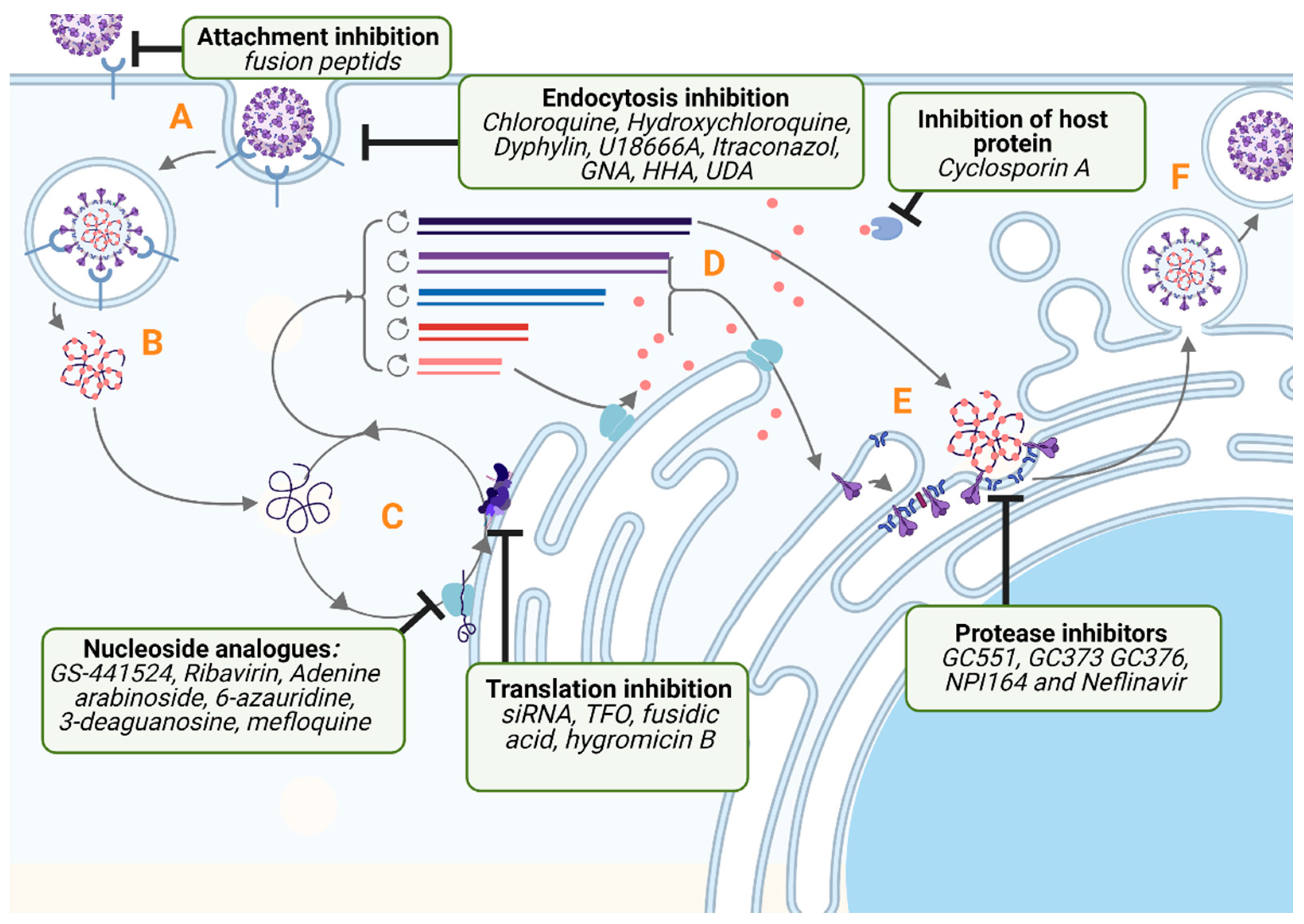 Pathogens 10 01150 g001