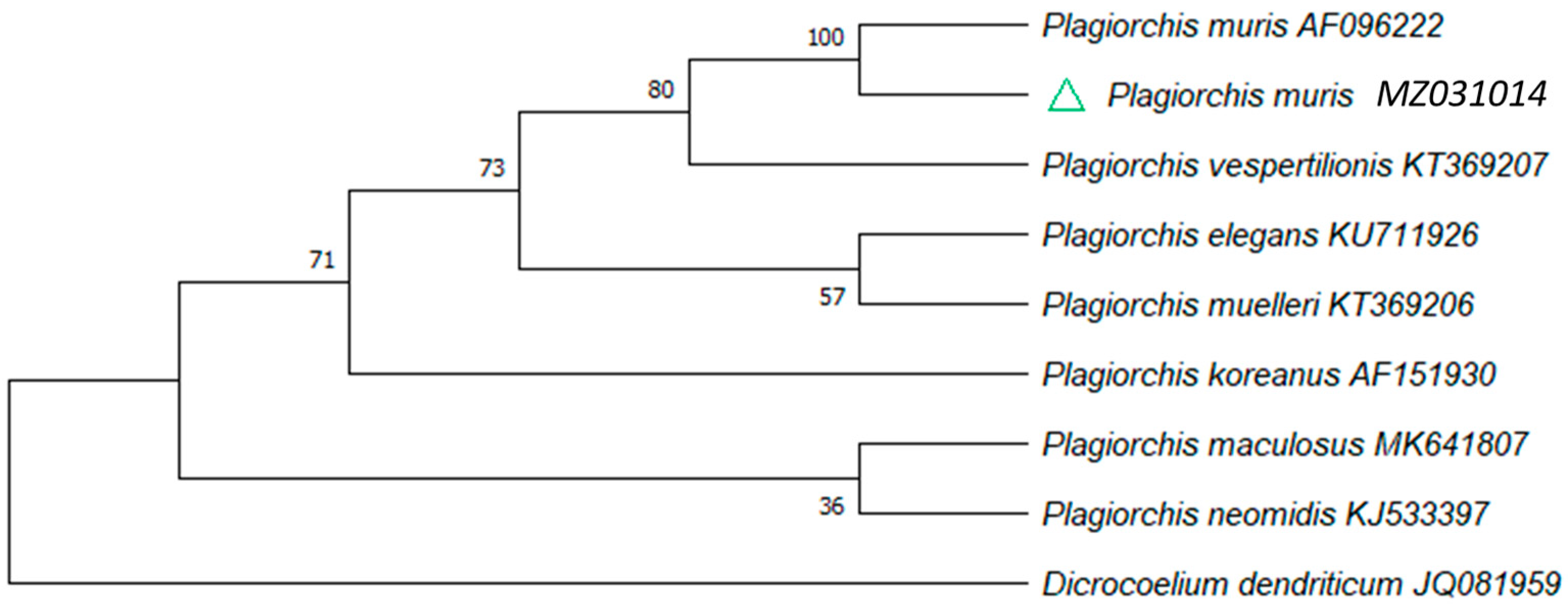 Pathogens 10 01152 g003 Pathogens 10 01152 g003