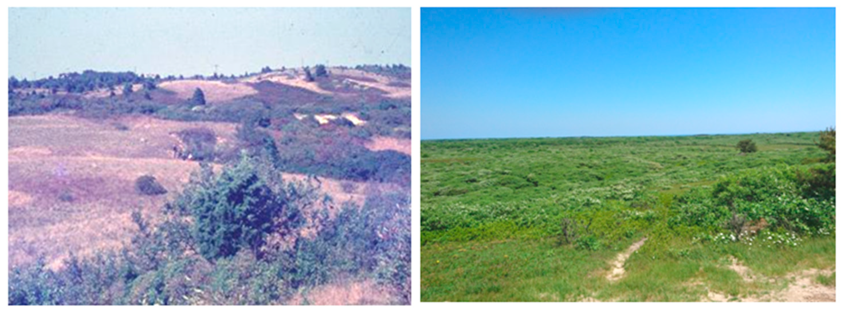 Pathogens 10 01159 g002