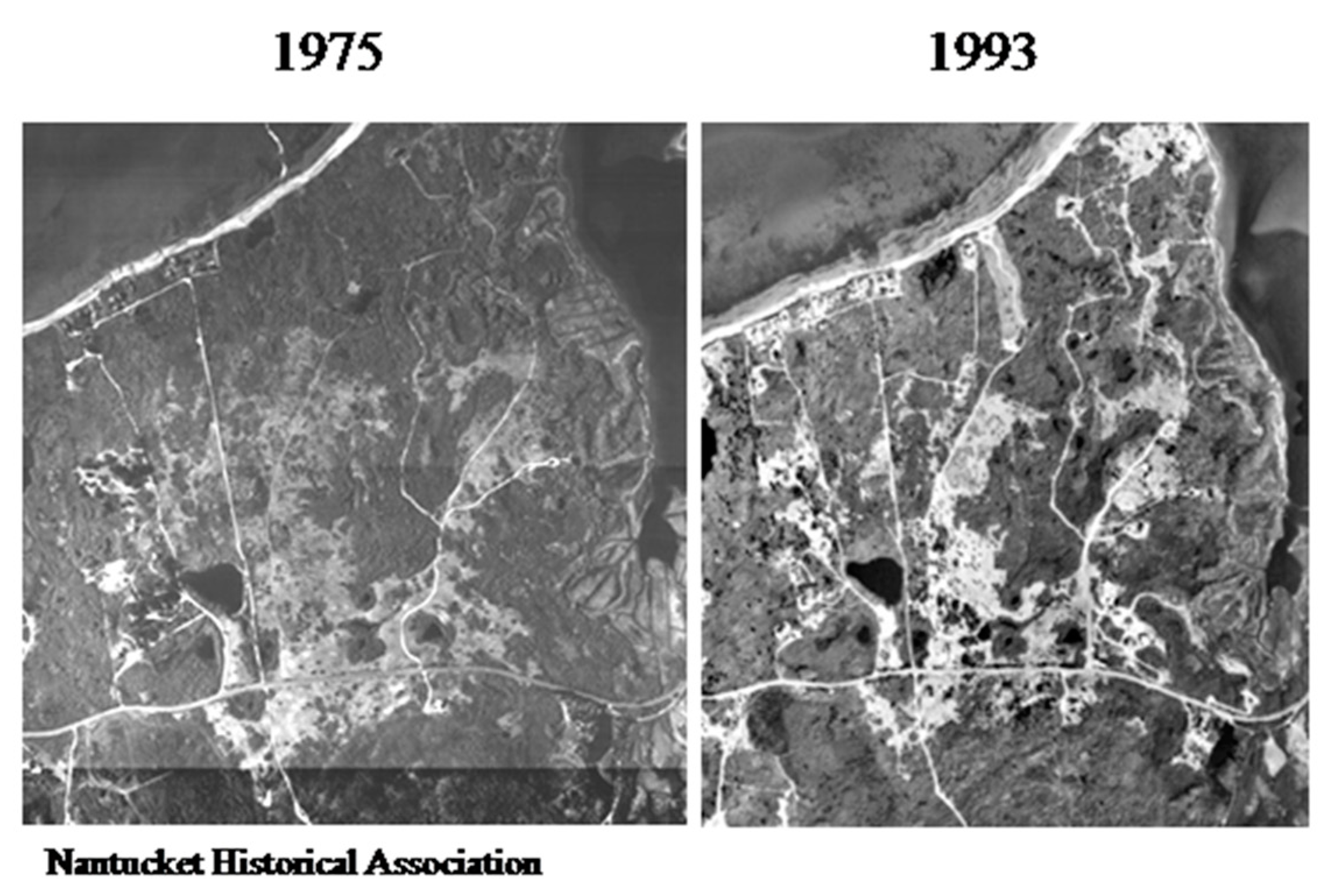 Pathogens 10 01159 g007