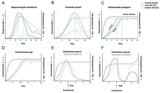 Pathogens 10 01163 g002 550