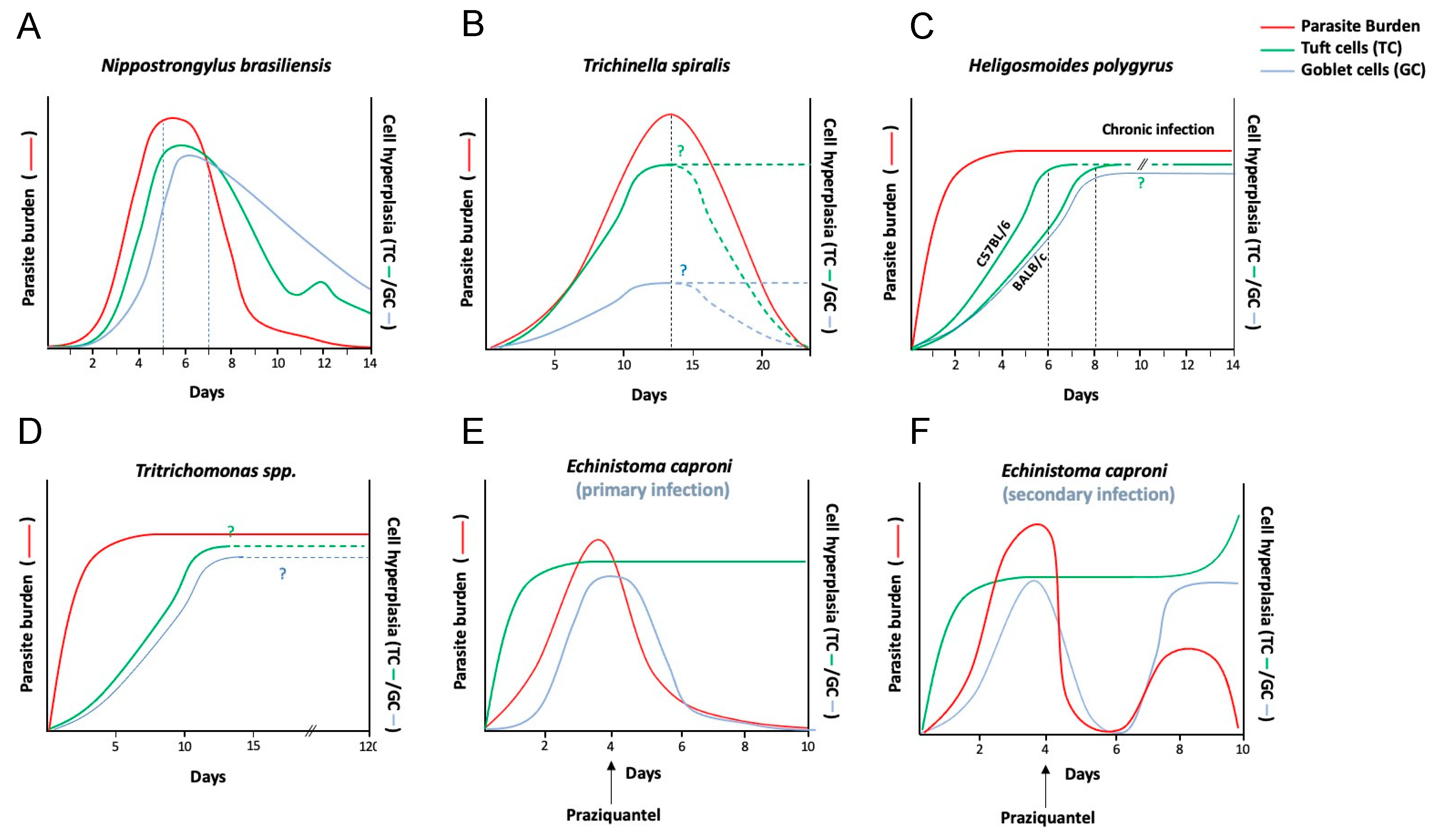 Pathogens 10 01163 g002