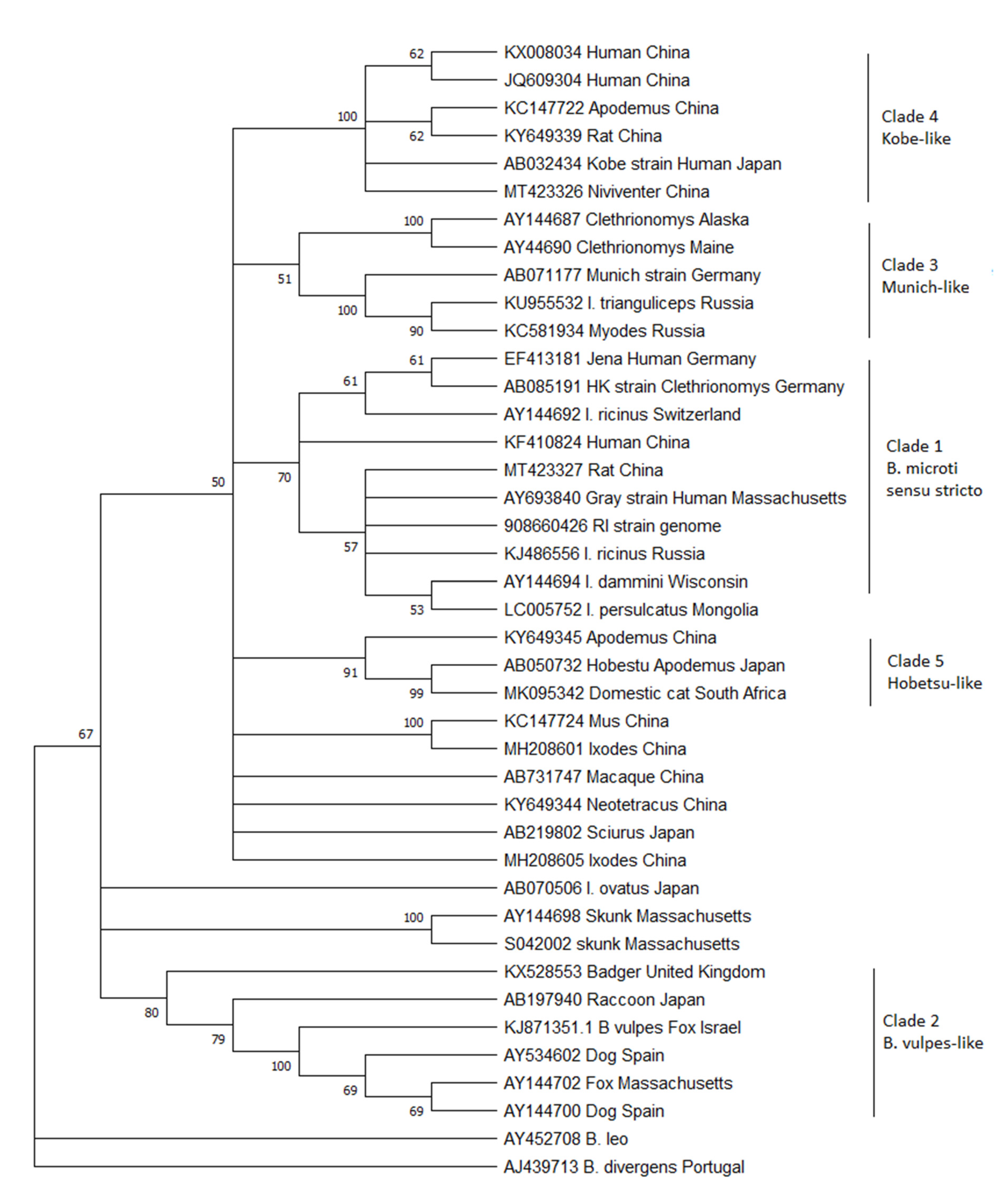 Pathogens 10 01168 g001