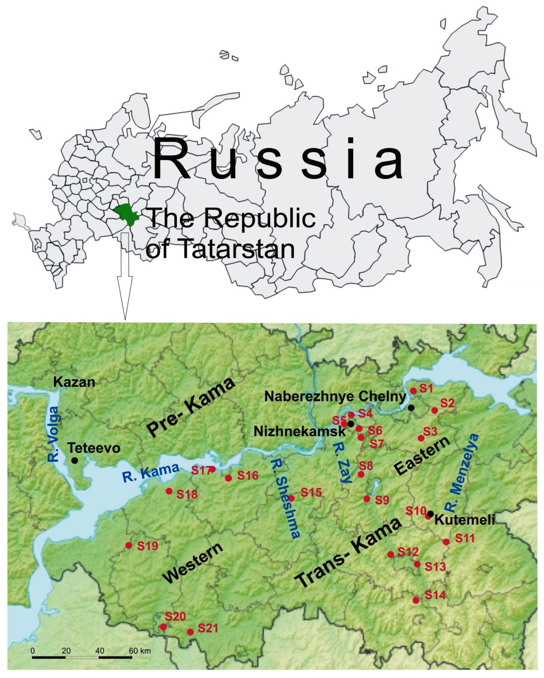 Pathogens 10 01169 g001