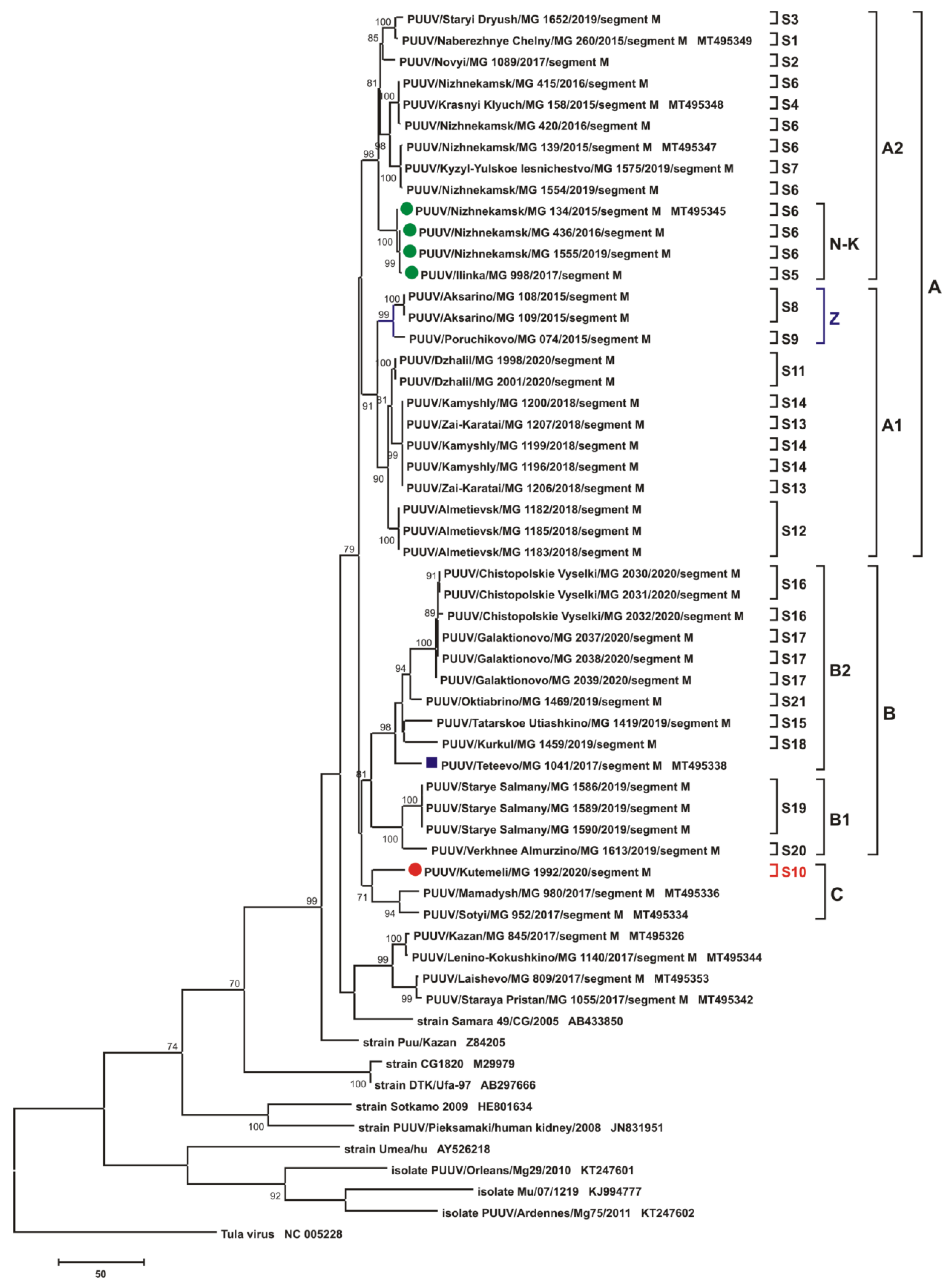 Pathogens 10 01169 g008