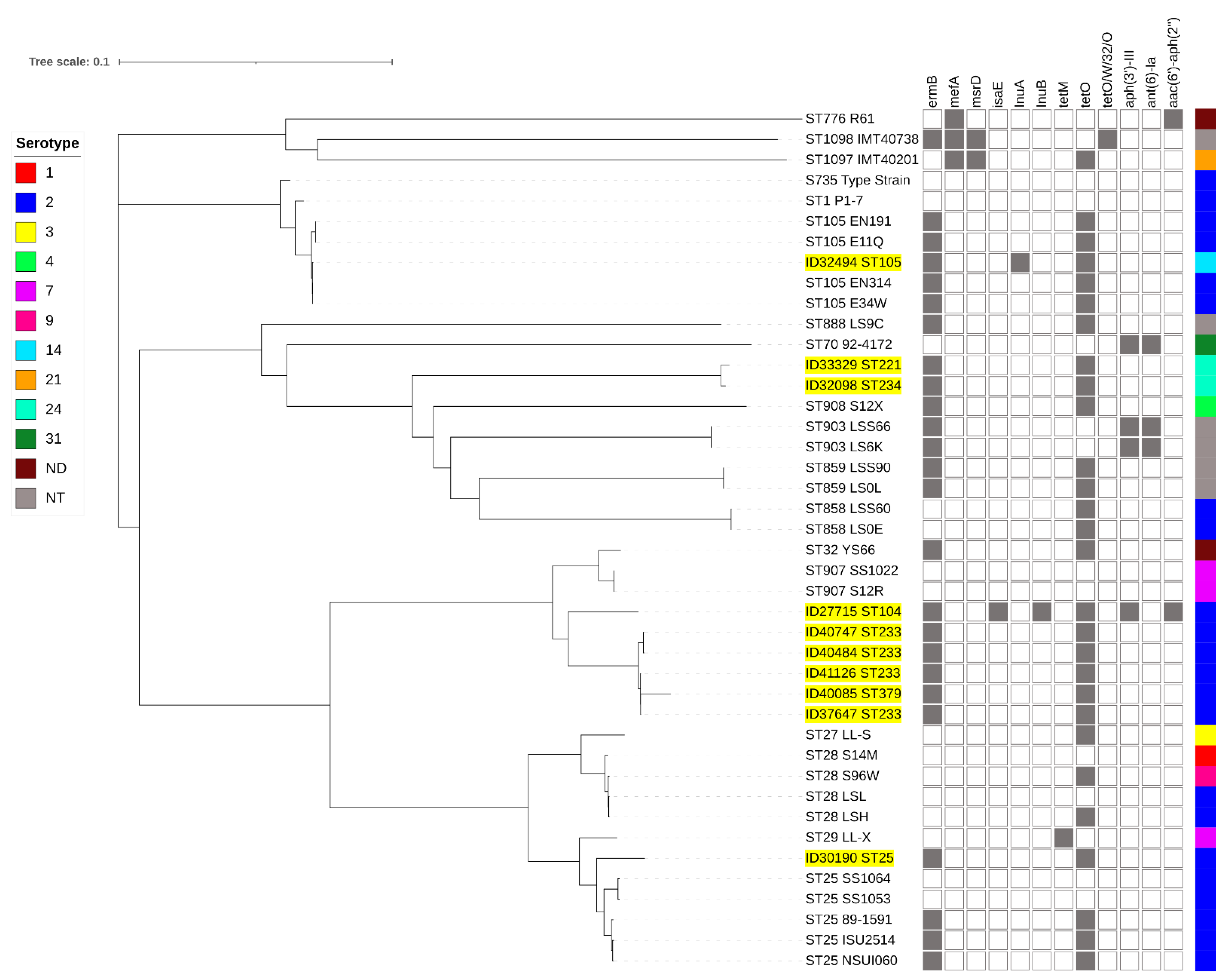 Pathogens 10 01178 g003