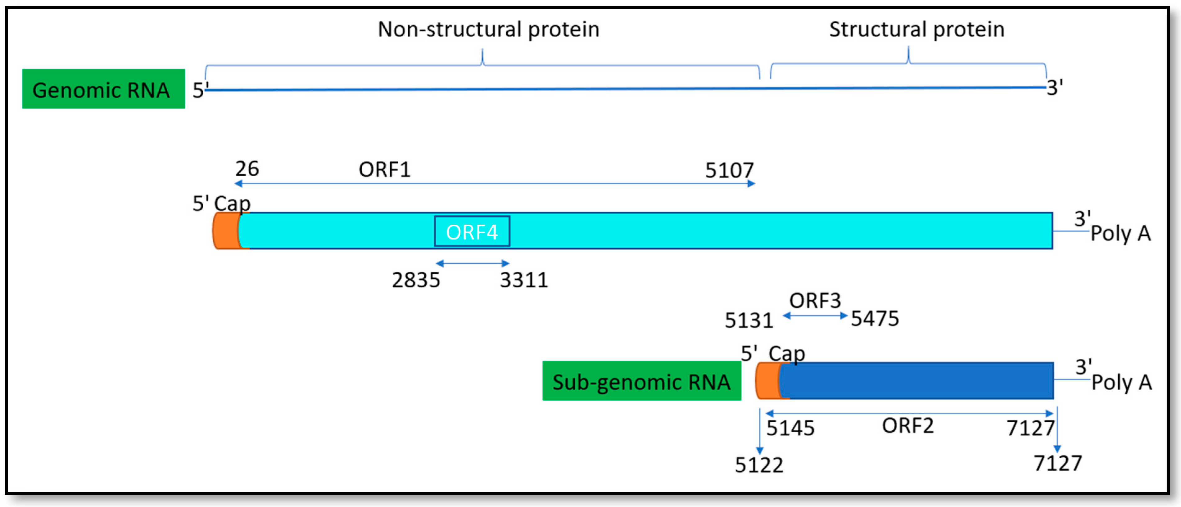 Pathogens 10 01180 g001