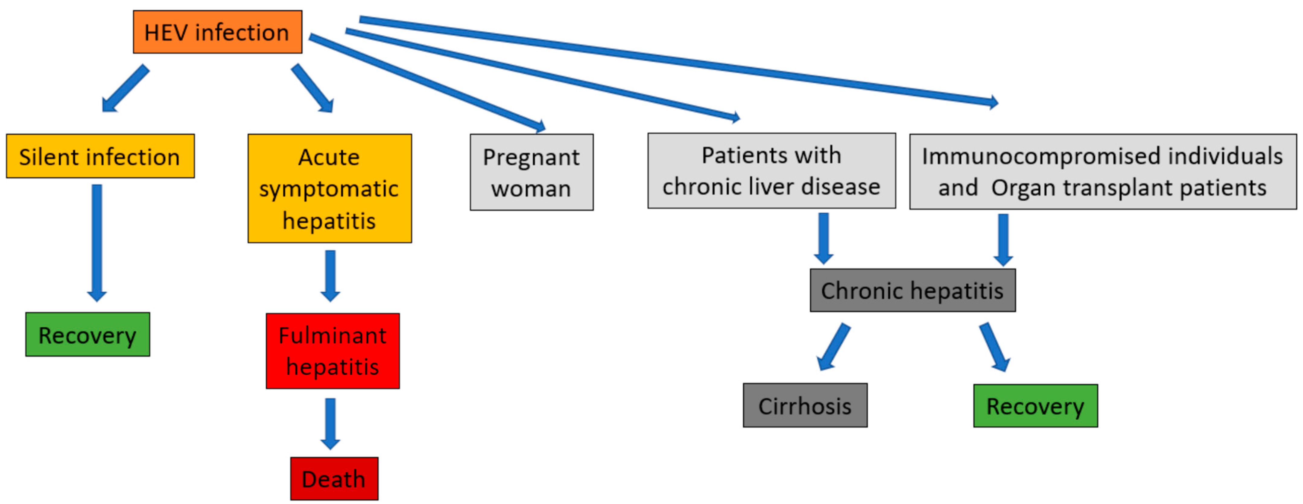 Pathogens 10 01180 g004