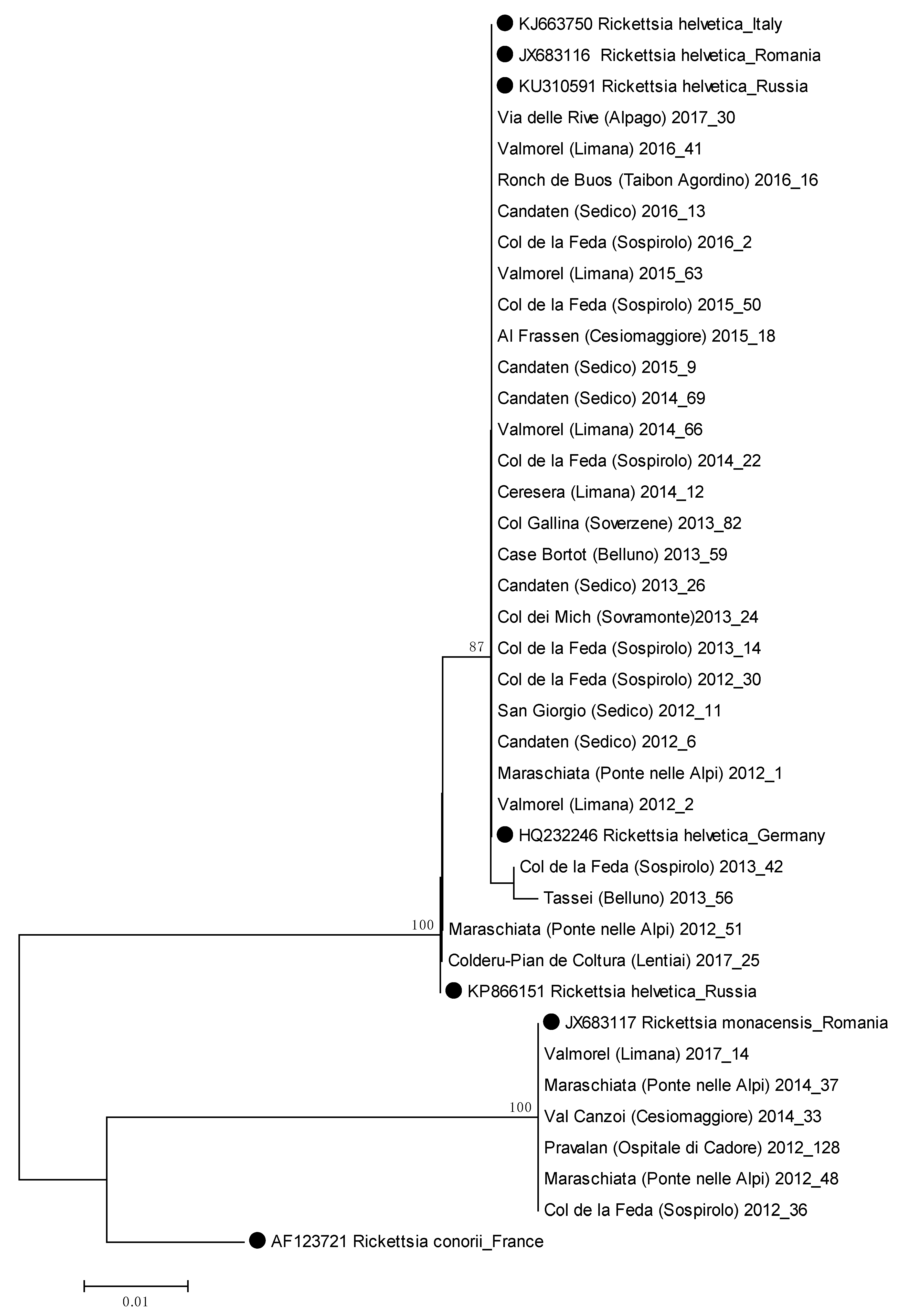 Pathogens 10 01181 g0a2