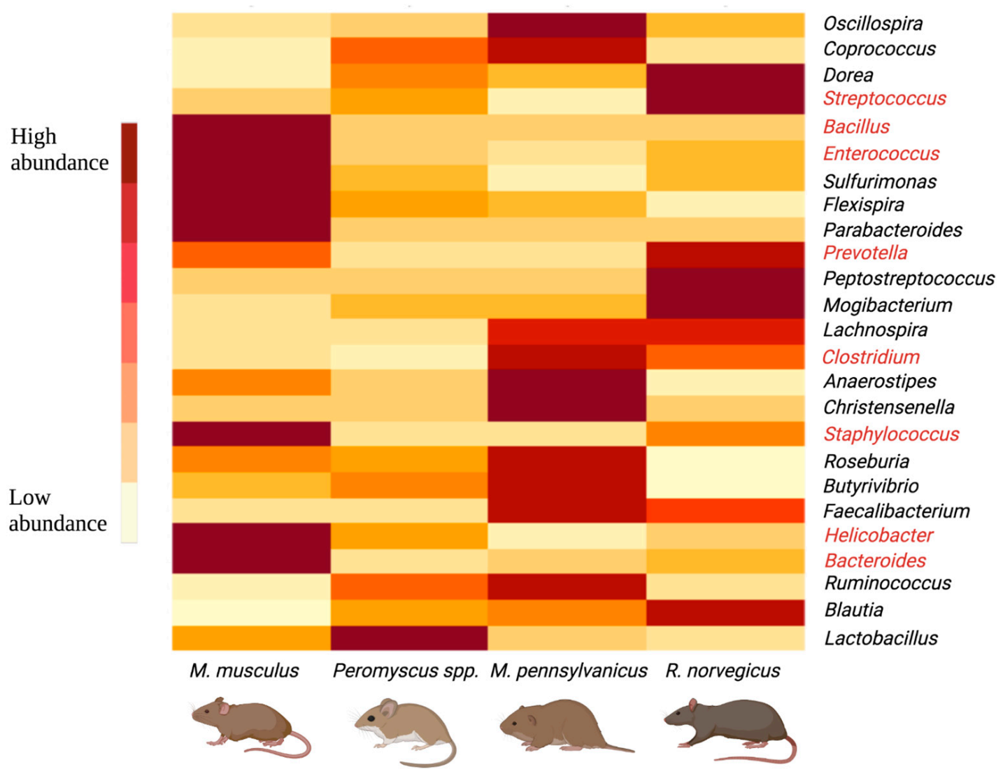 Pathogens 10 01183 g003