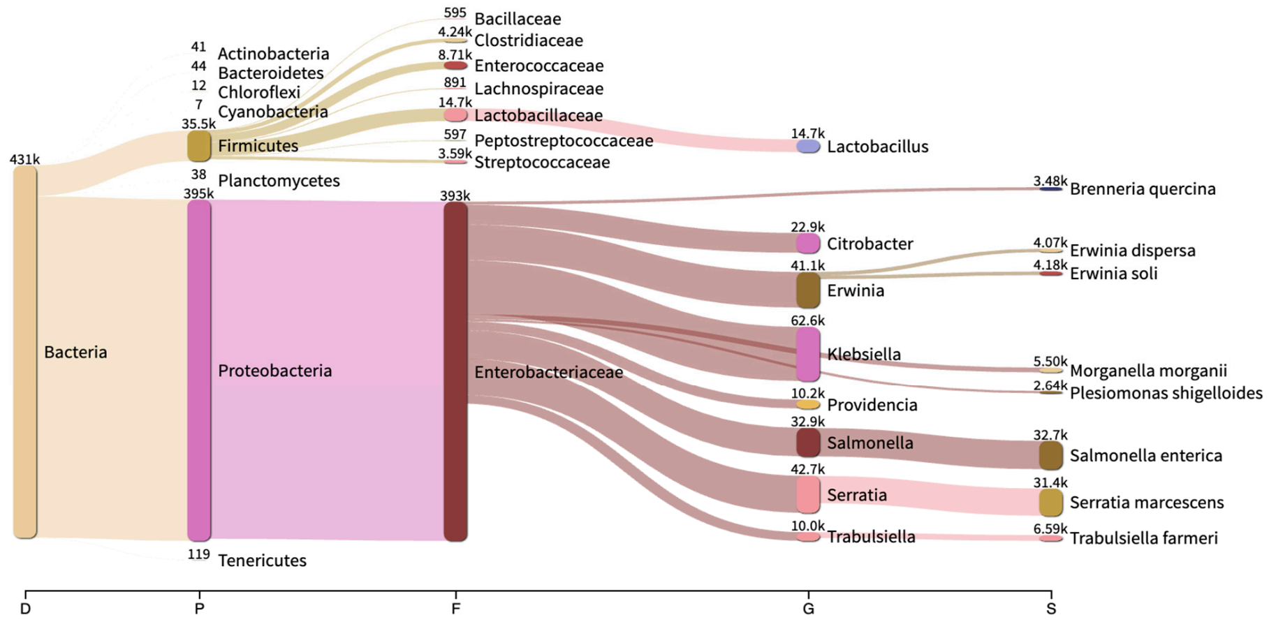 Pathogens 10 01183 g004