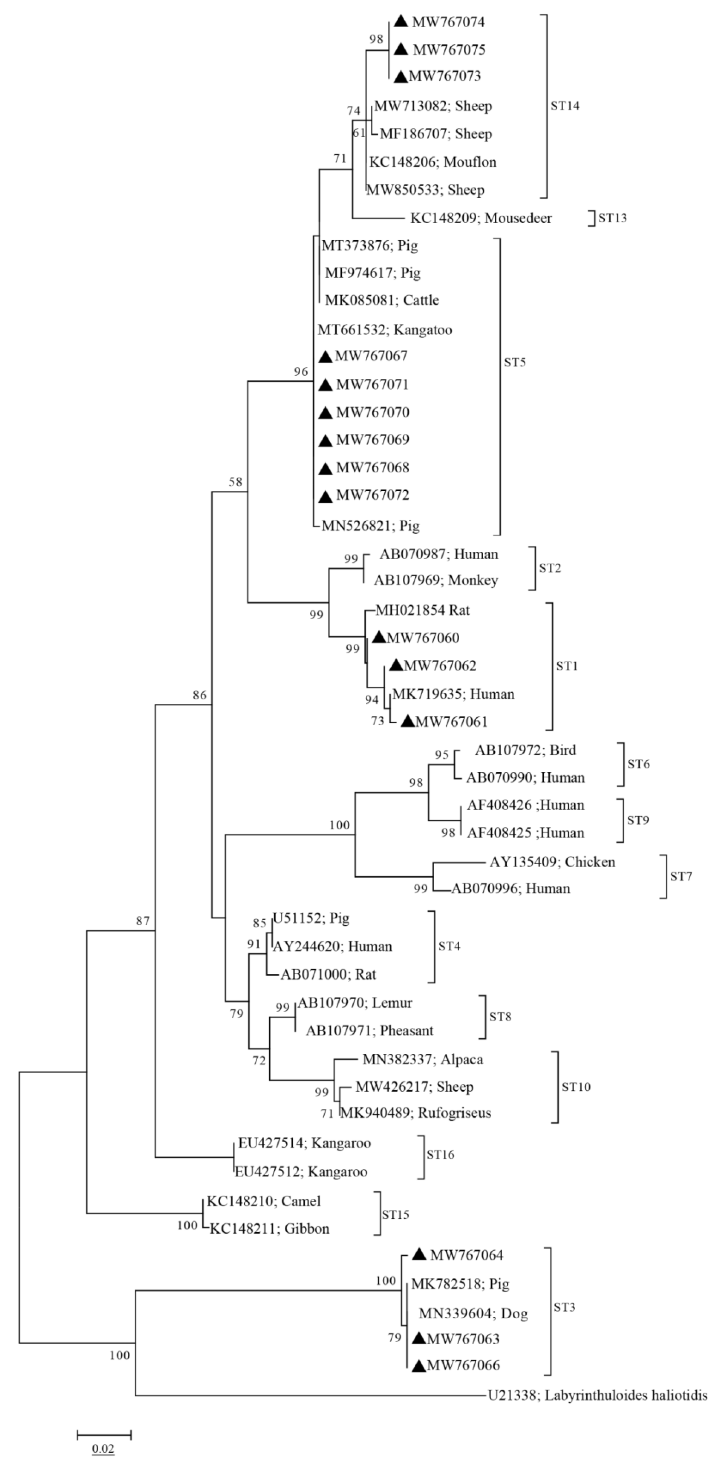 Pathogens 10 01189 g001