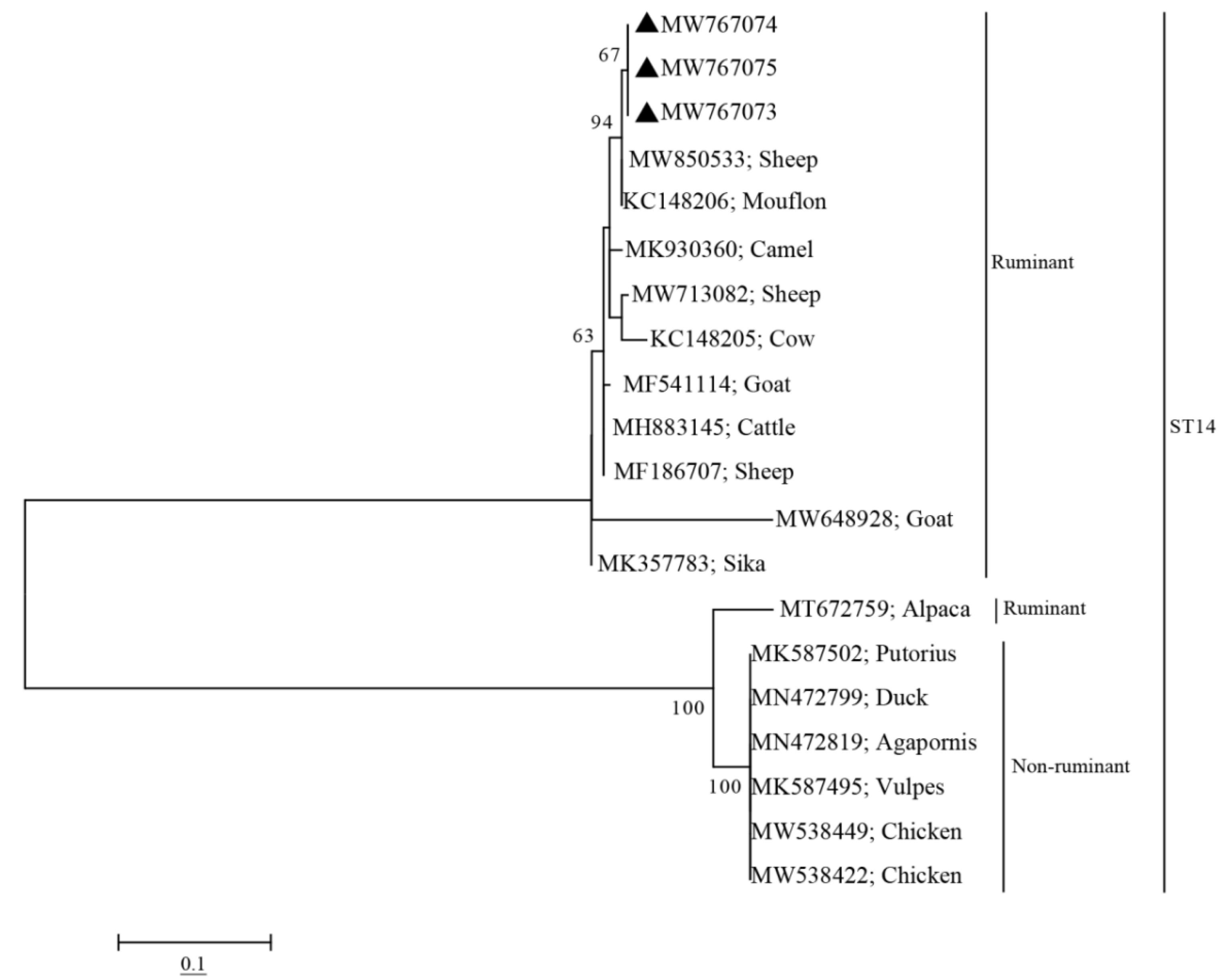 Pathogens 10 01189 g002
