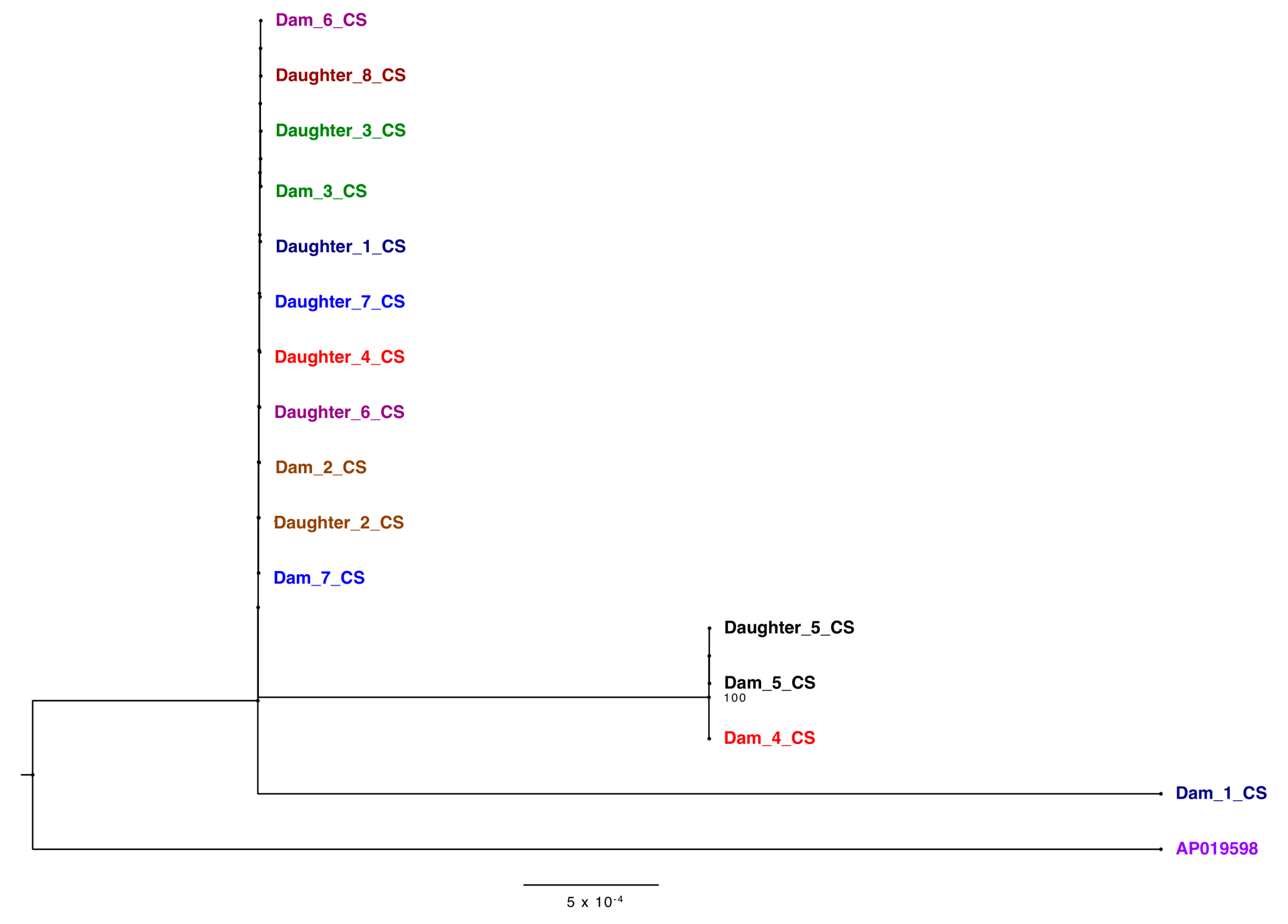 Pathogens 10 01191 g005