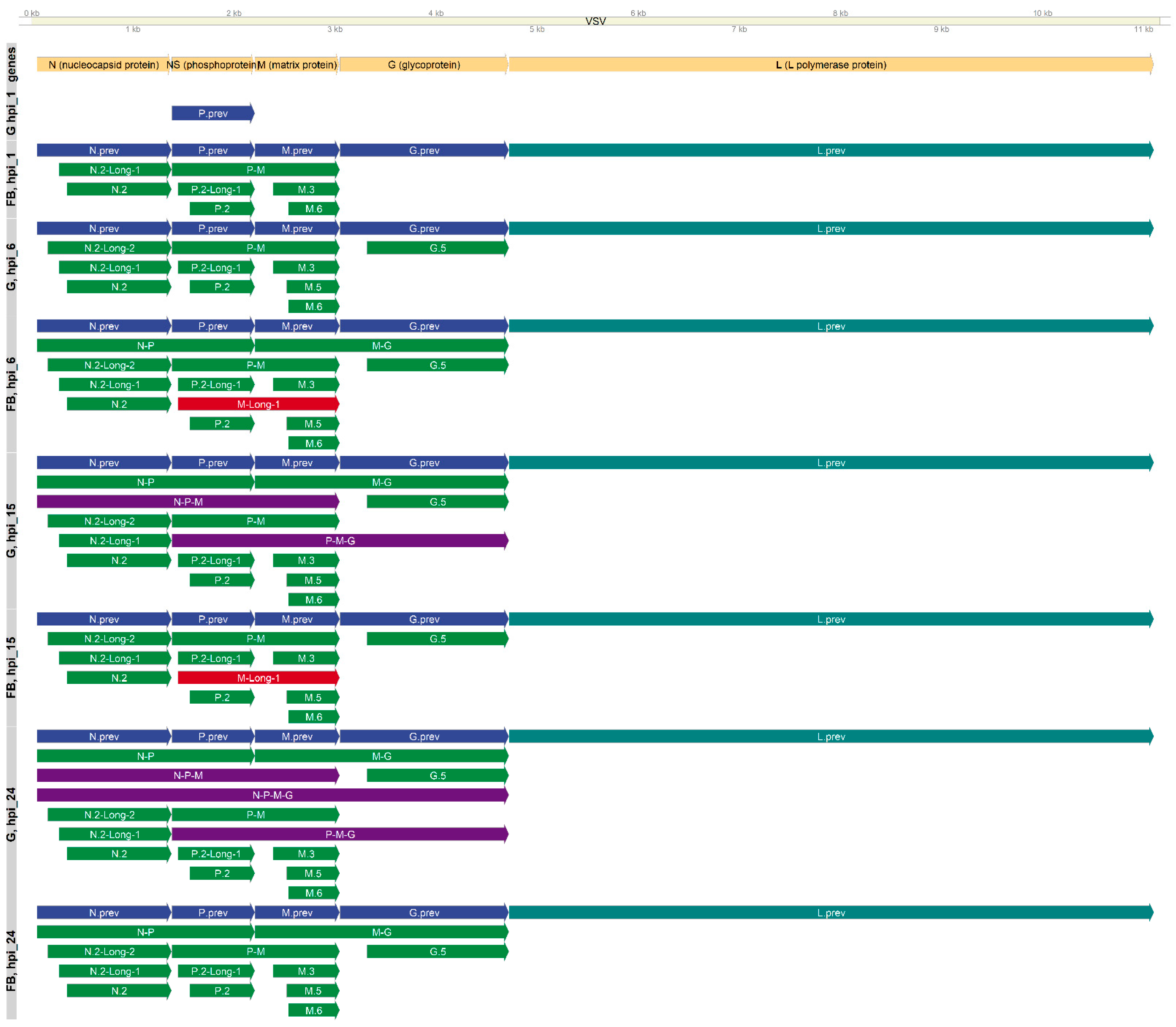 Pathogens 10 01196 g001
