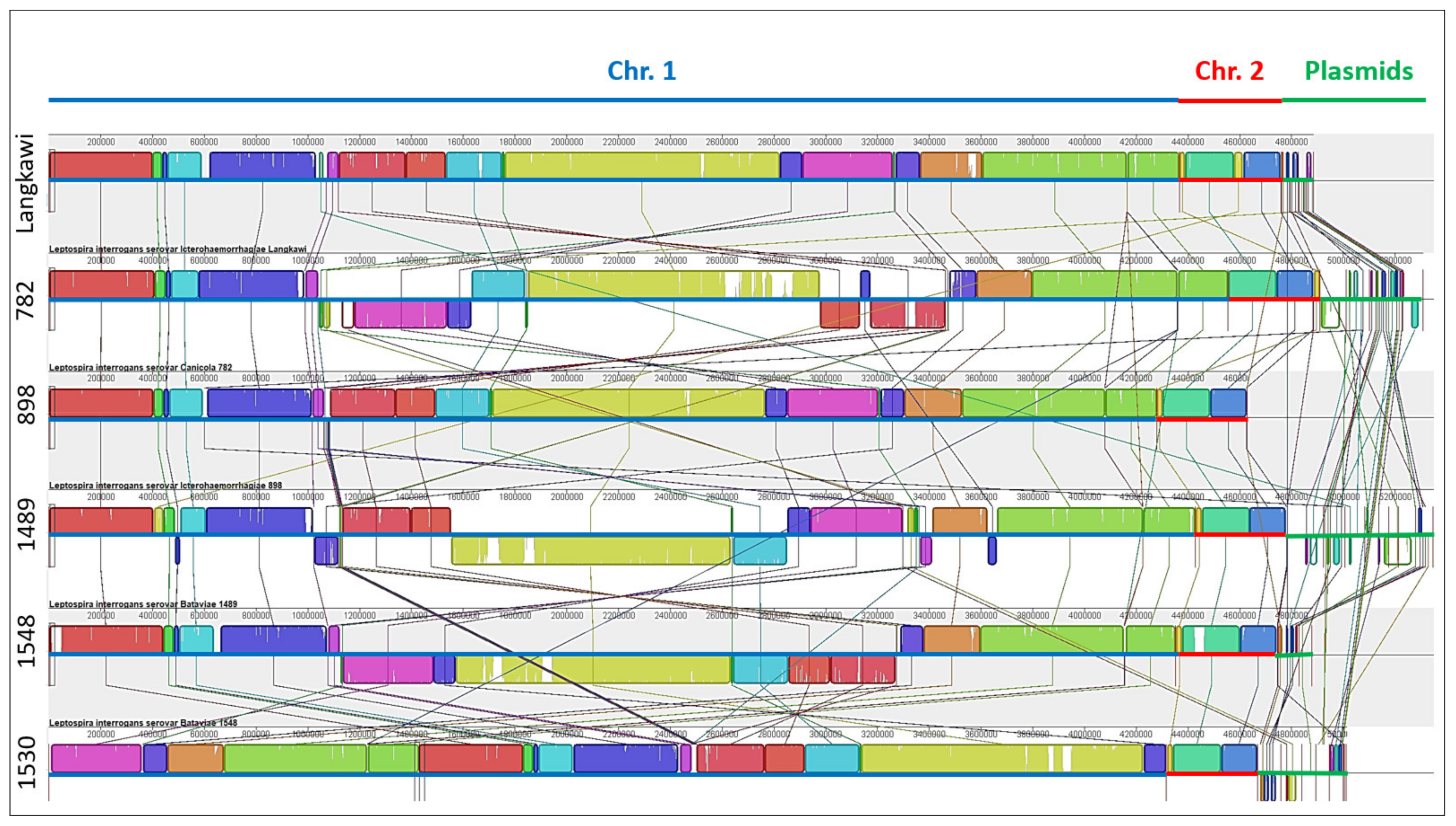 Pathogens 10 01198 g002