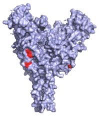 Pathogens 10 01201 i004