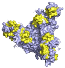 Pathogens 10 01201 i007