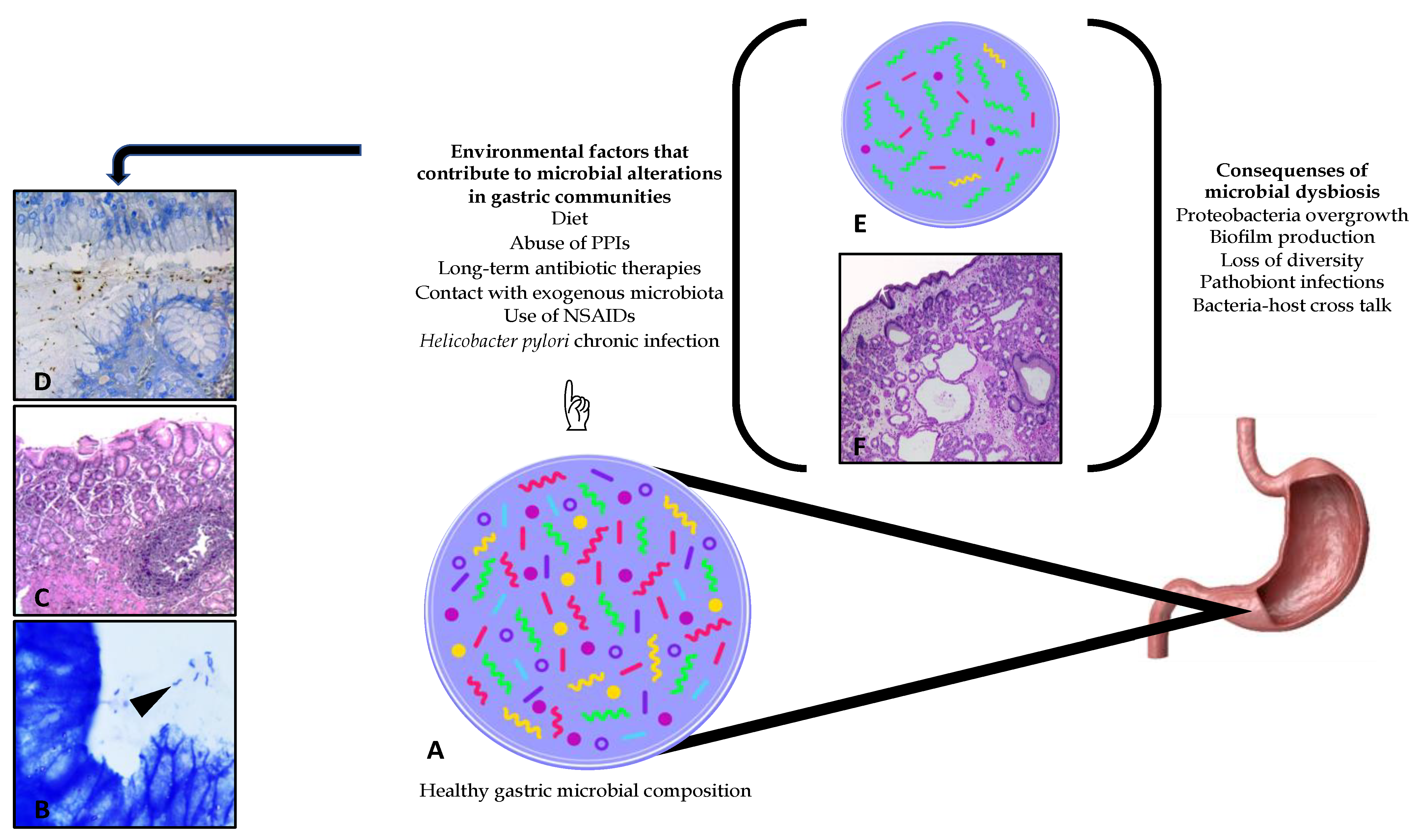 Pathogens 10 01203 g002 Pathogens 10 01203 g002
